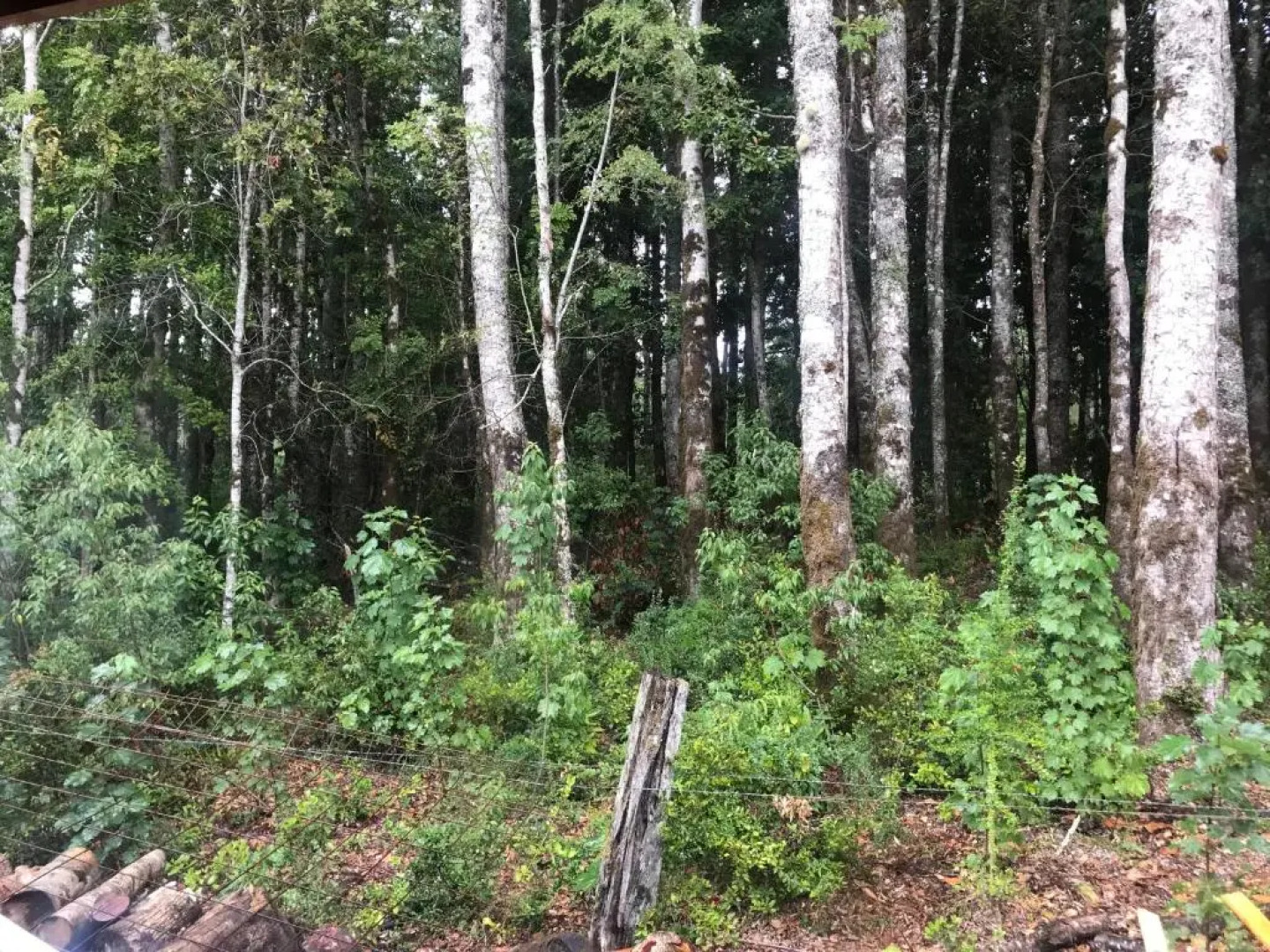 Hermosa Casa Licanray