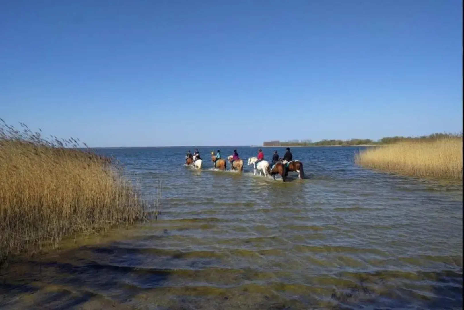 Bernsteinreiter Erlebnishof Barth, Blockhütte 22