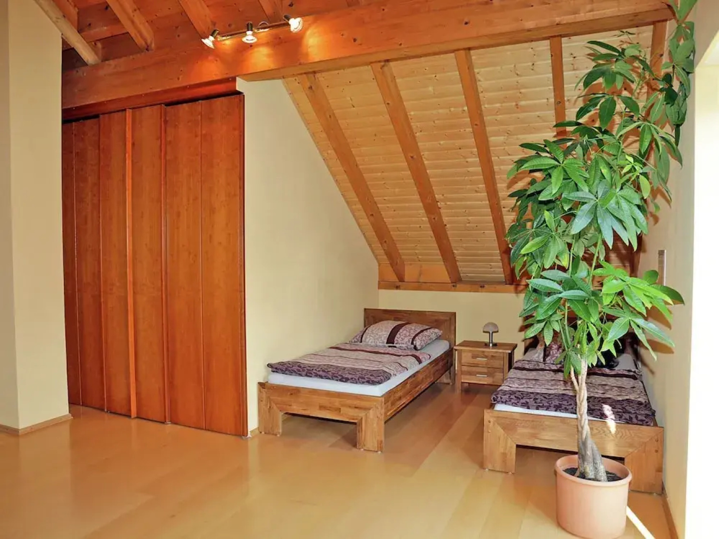 Beautiful and Cosy Apartment in a Wooded and Mostly Quite Rustic Ambience