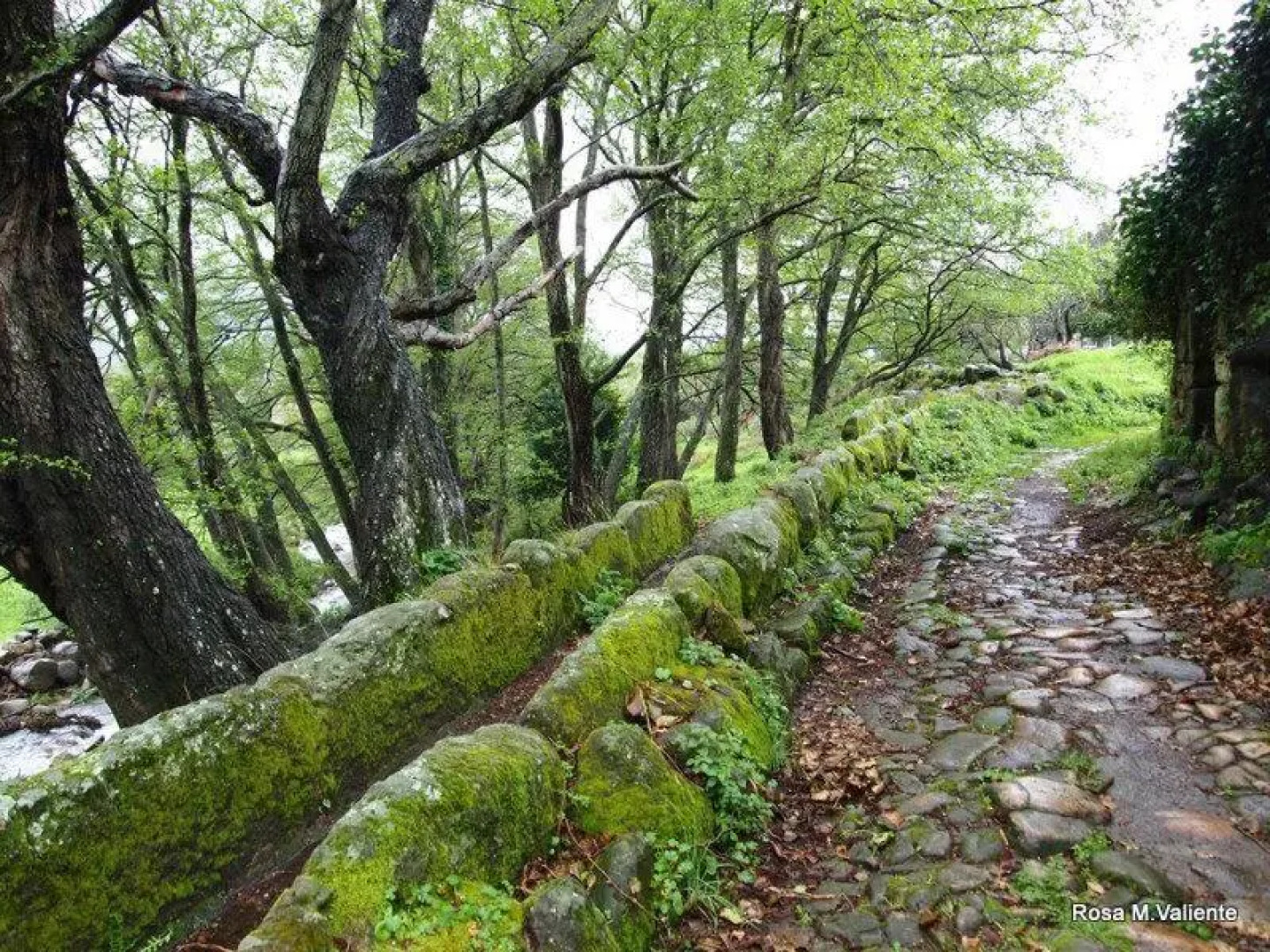 Casa Rural Las Janonas