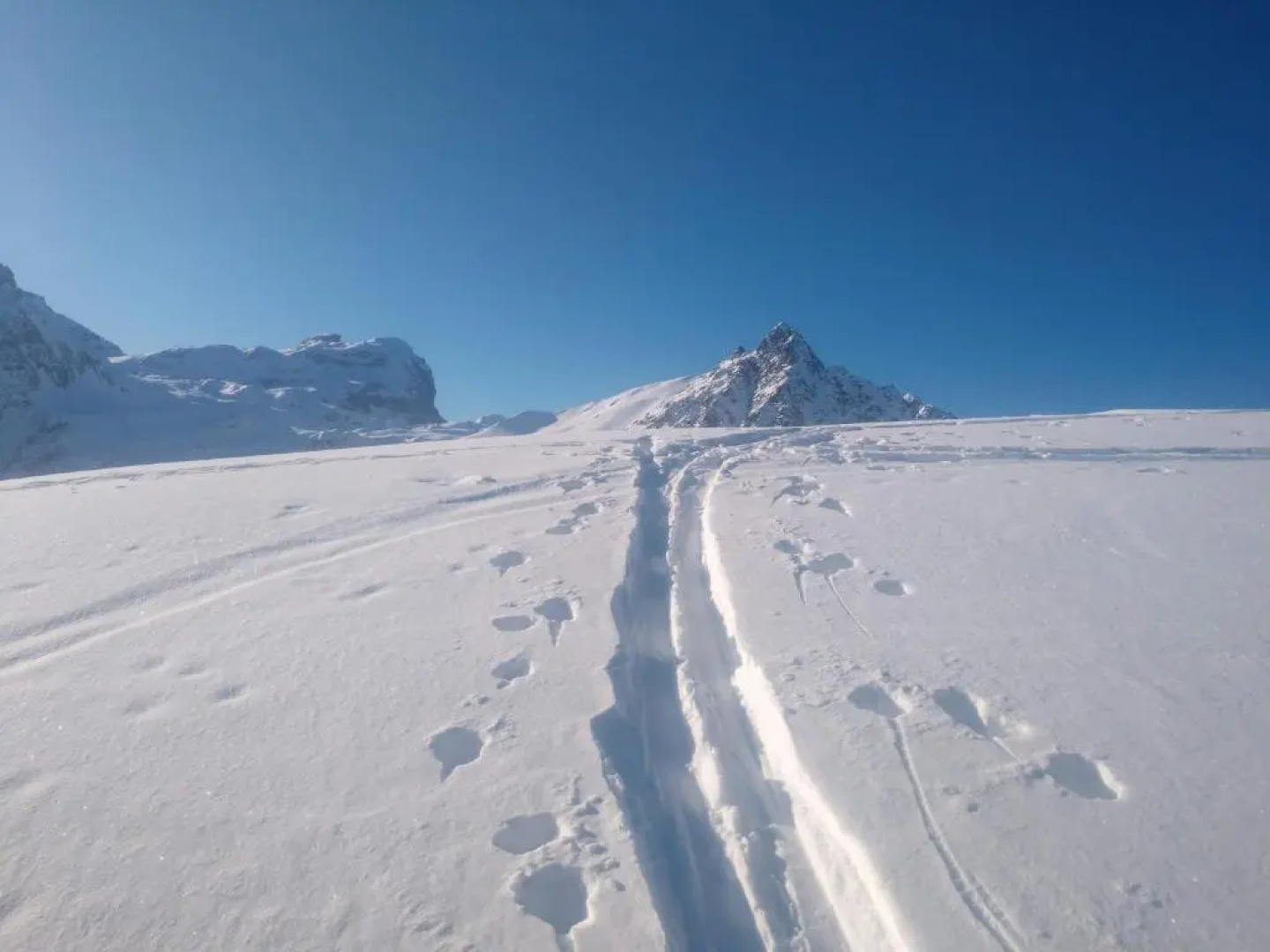 FerienHaus im Garten
