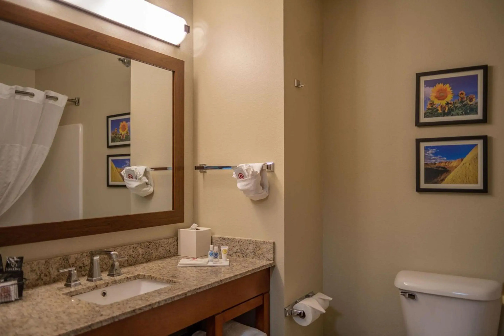 Comfort Inn And Suites Custer
