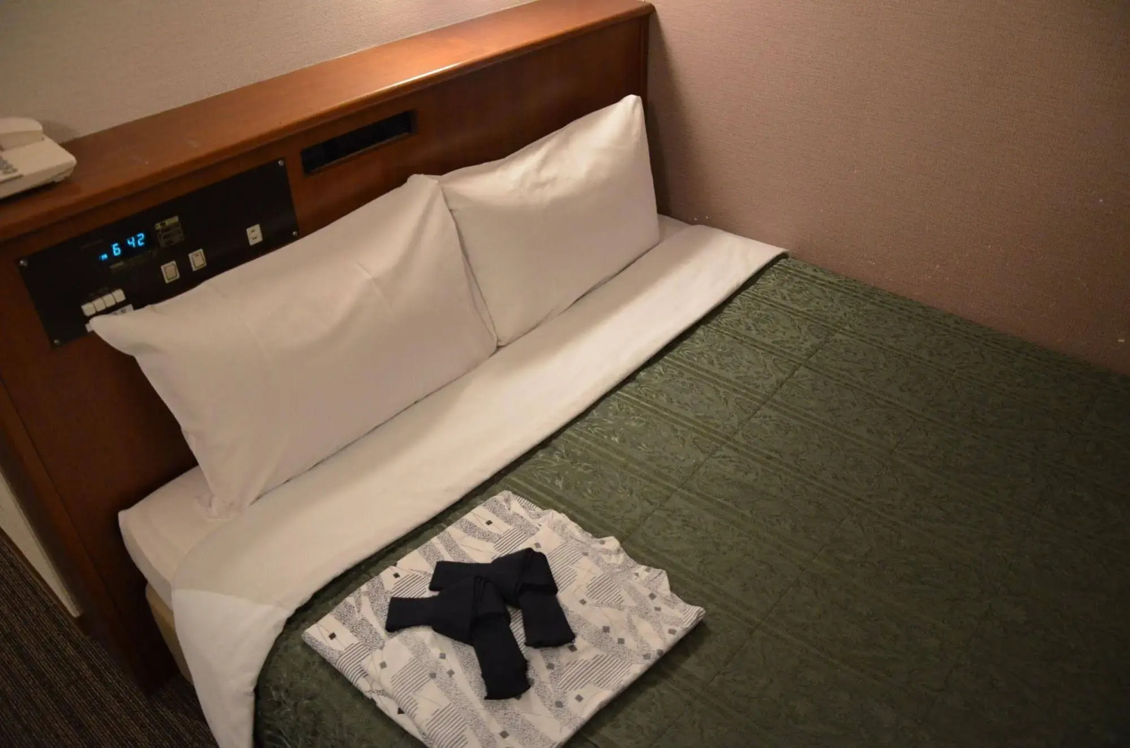 Hikone Biwako Hotel