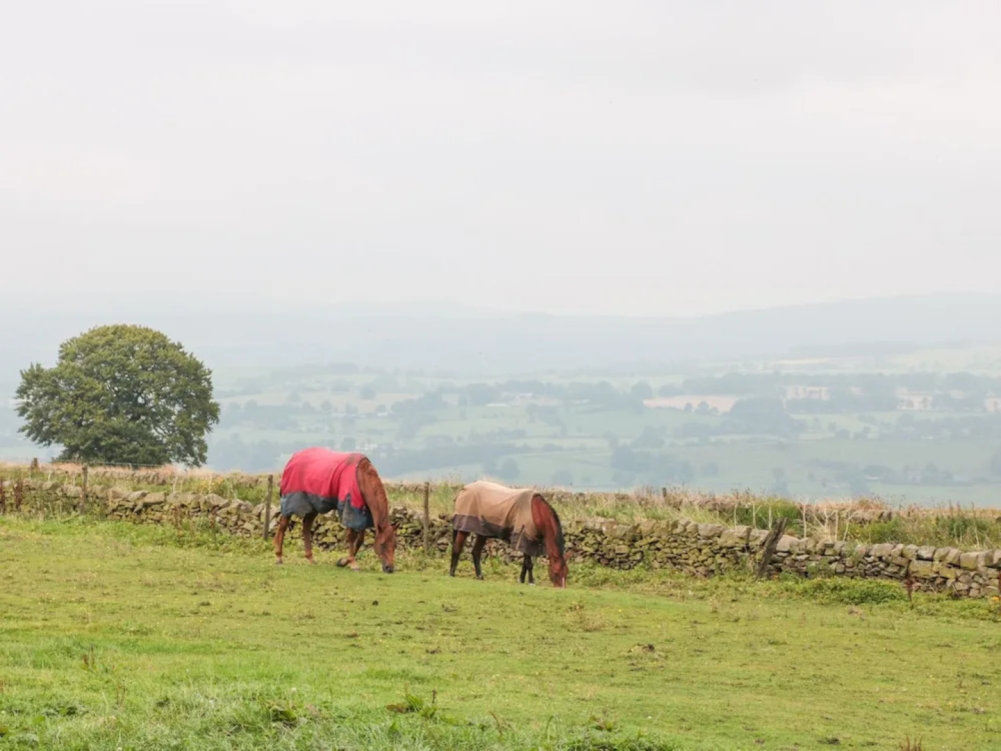 Butterlands Farmhouse