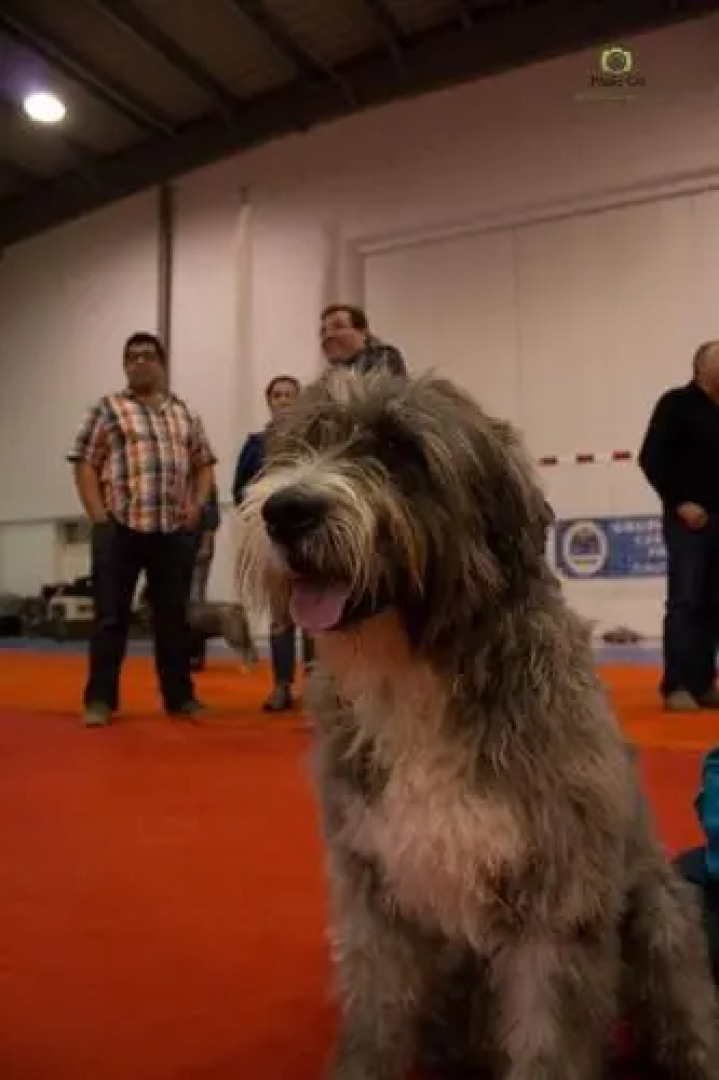 À Descoberta d'Angra!