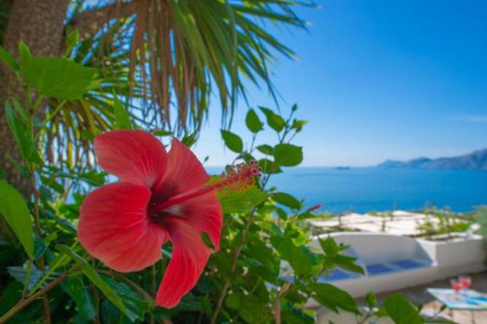 Masa Villas-Masasette Luxury Villa