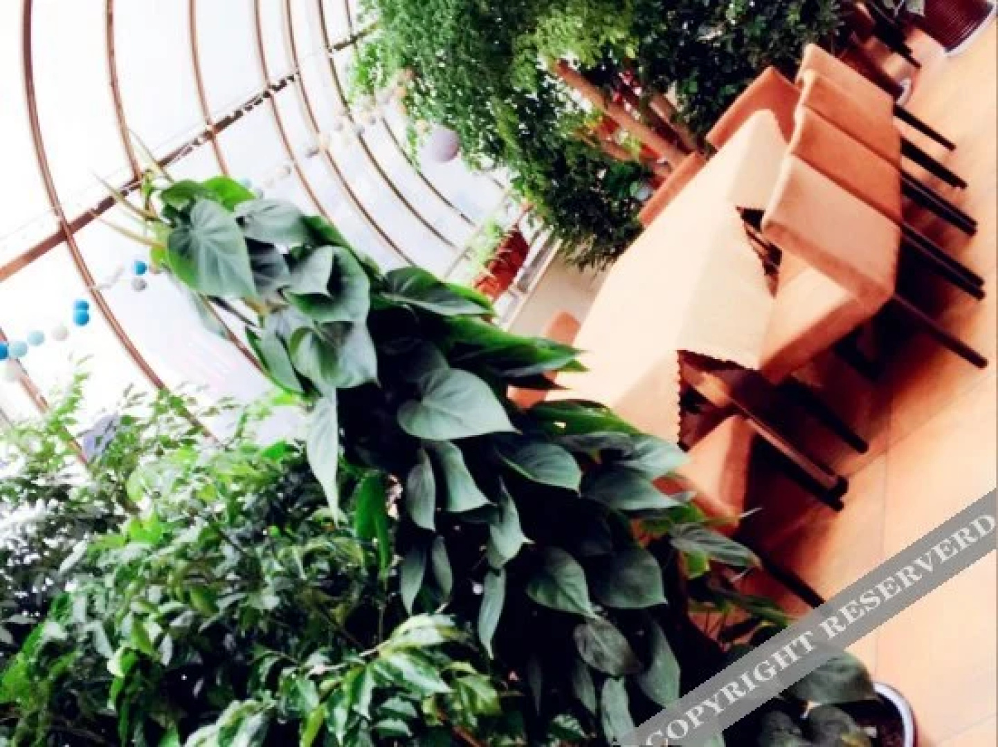 Pengcheng Hotel