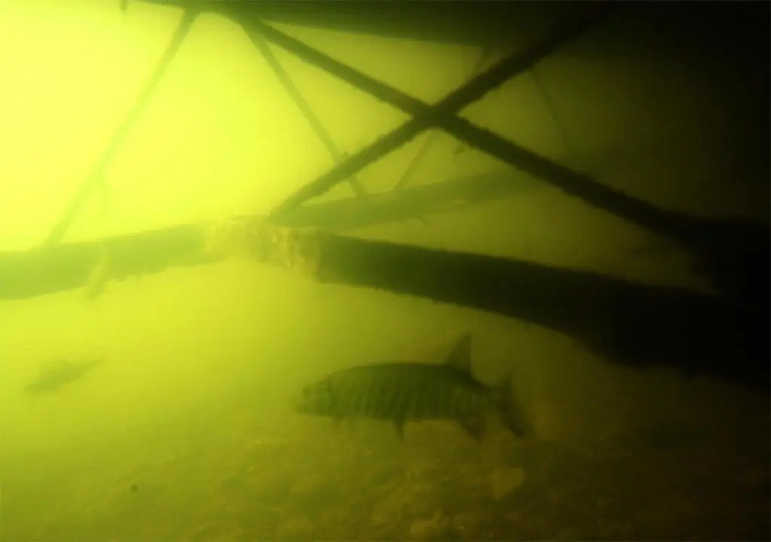 Apartamenty Osowa nad jeziorem Okmin