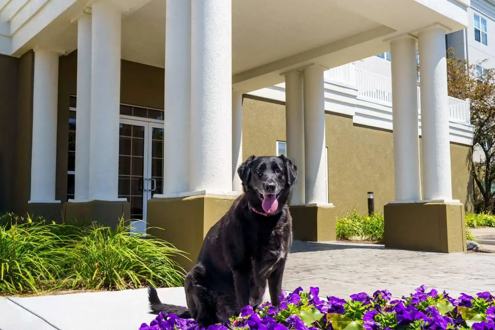 Homewood Suites By Hilton Erie