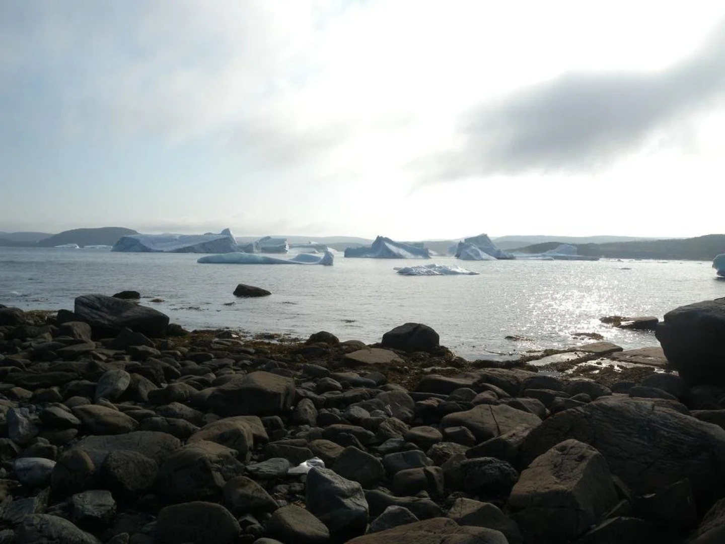 Wildberry Country Lodge B&B