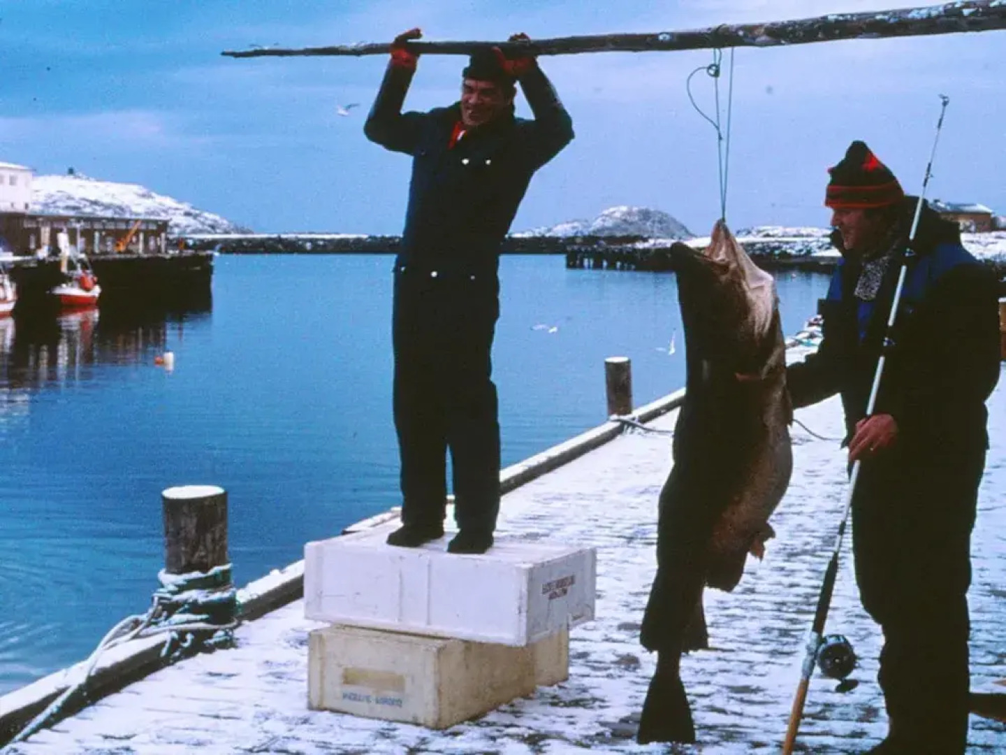 7 Person Holiday Home in Breivikbotn