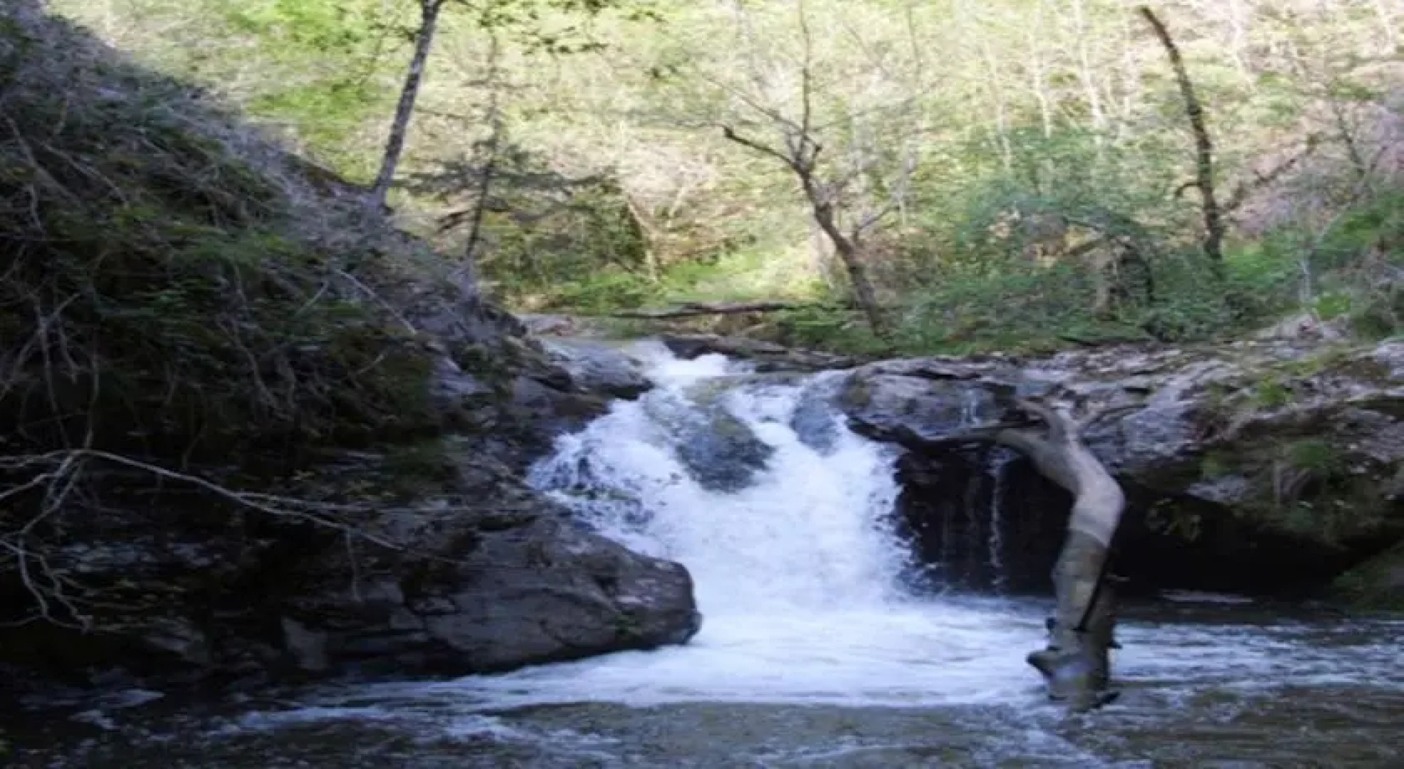 Domaine des Cazottes