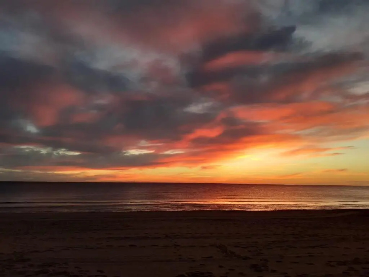 Romántico Daimús 2