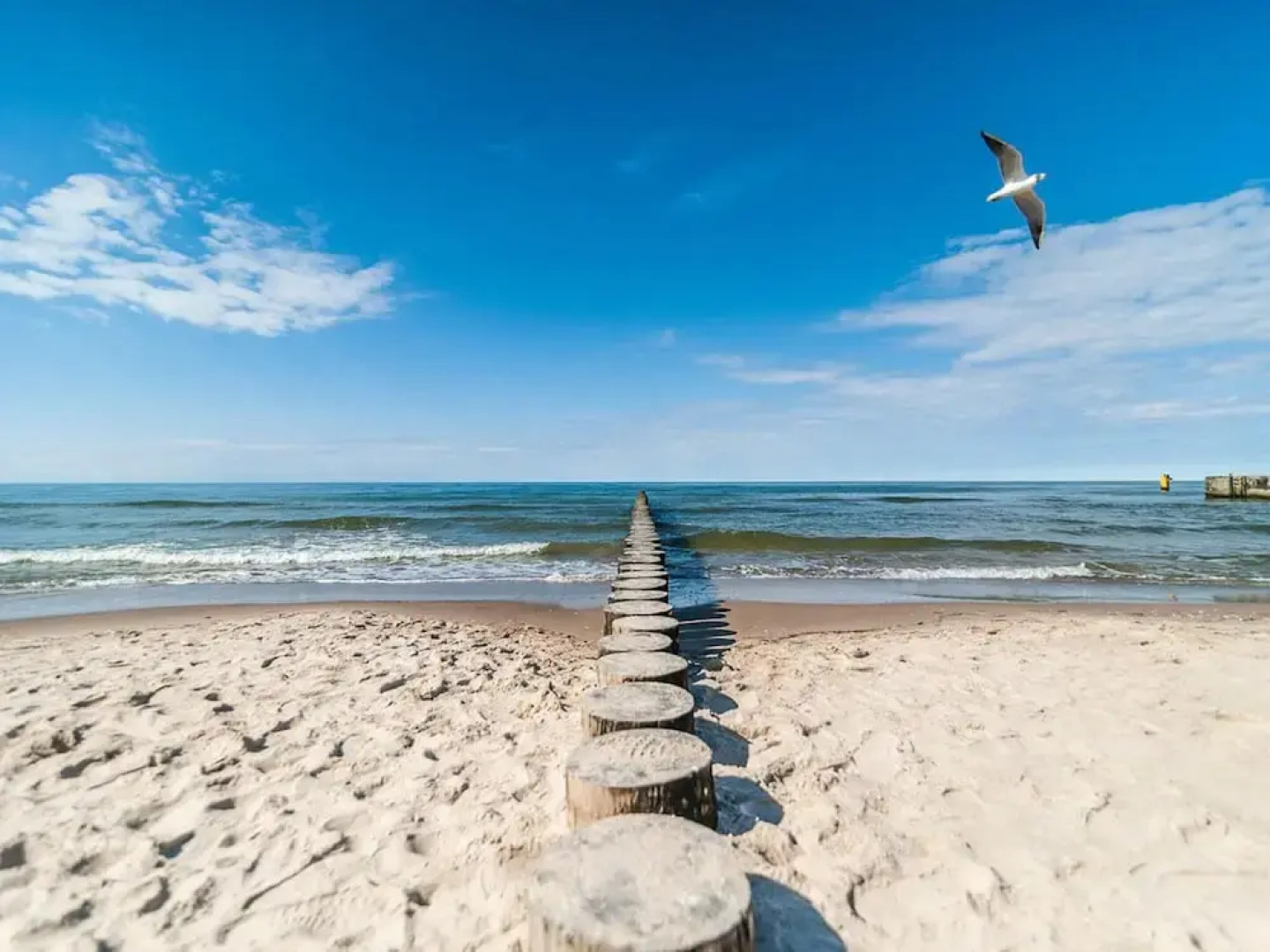 Holiday Cottages, Sauna, Whirlpool, Mrzezyno