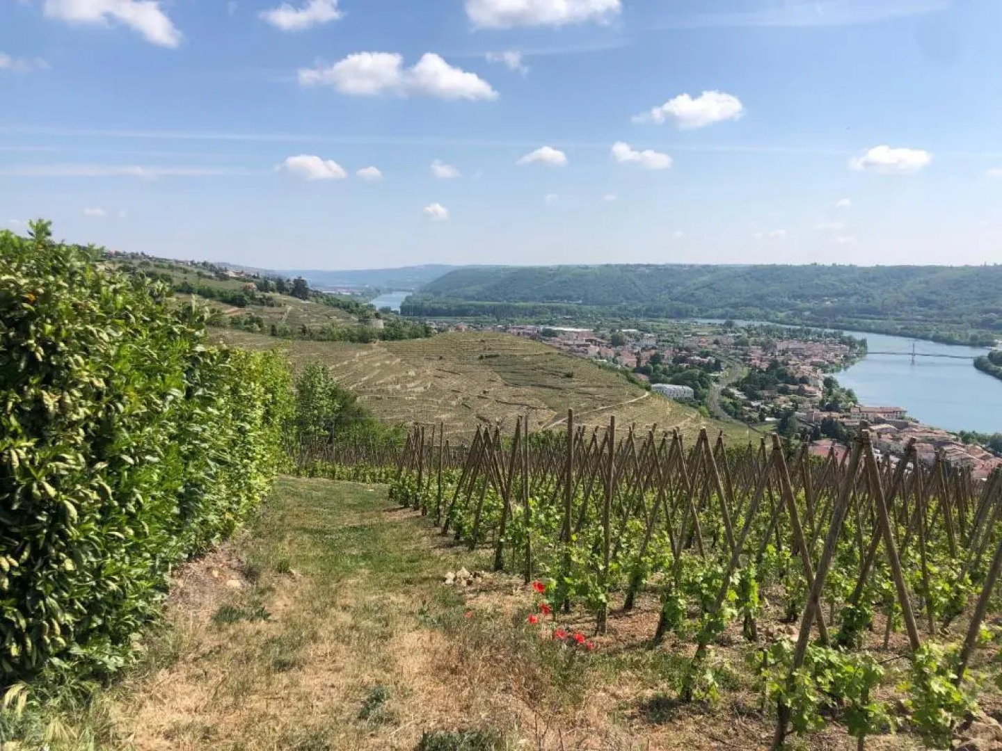 CONDRIEU T3 Climatisé 2ème étage