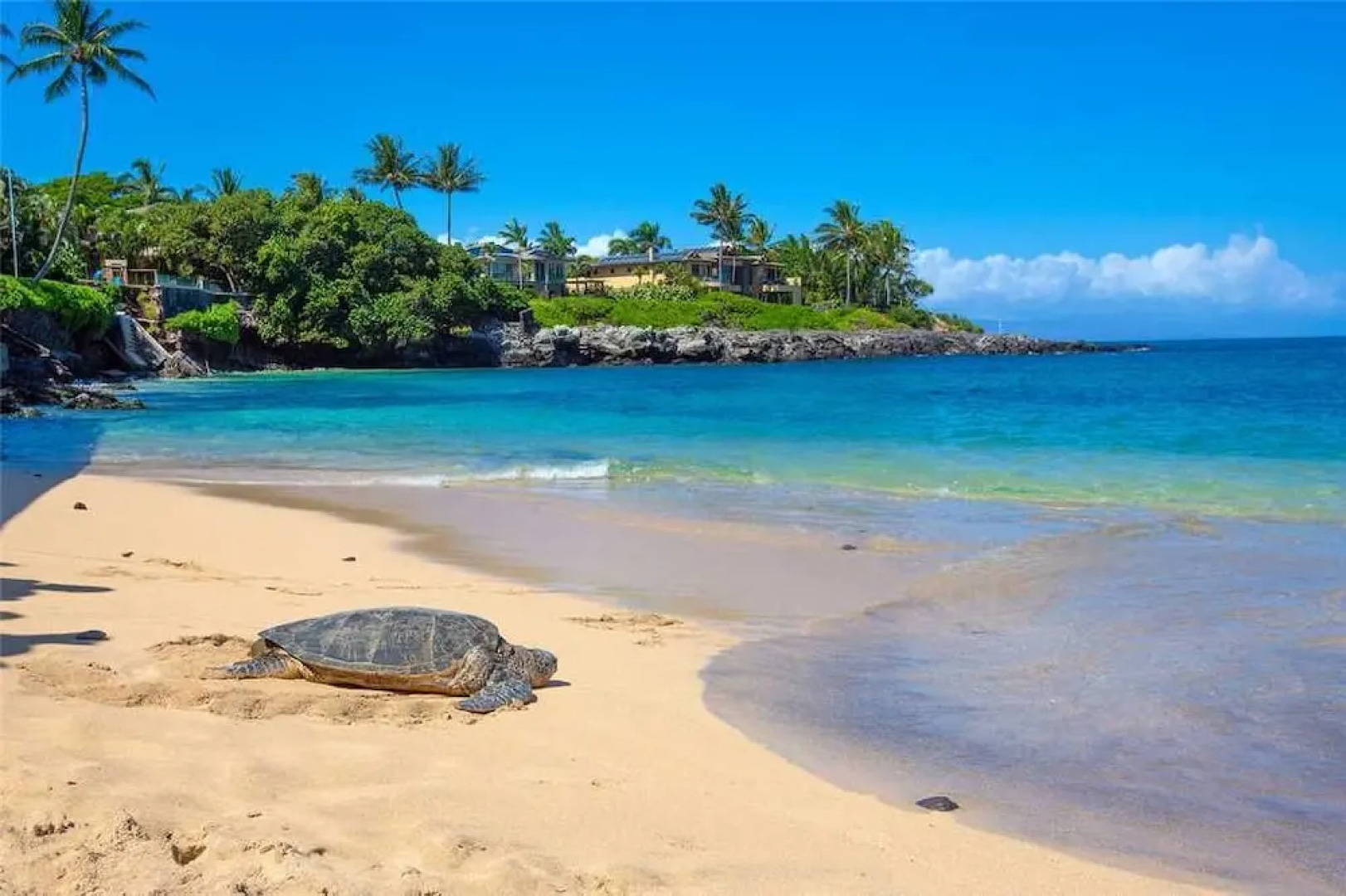 Kahana Sunset B3B - One Bedroom Condo