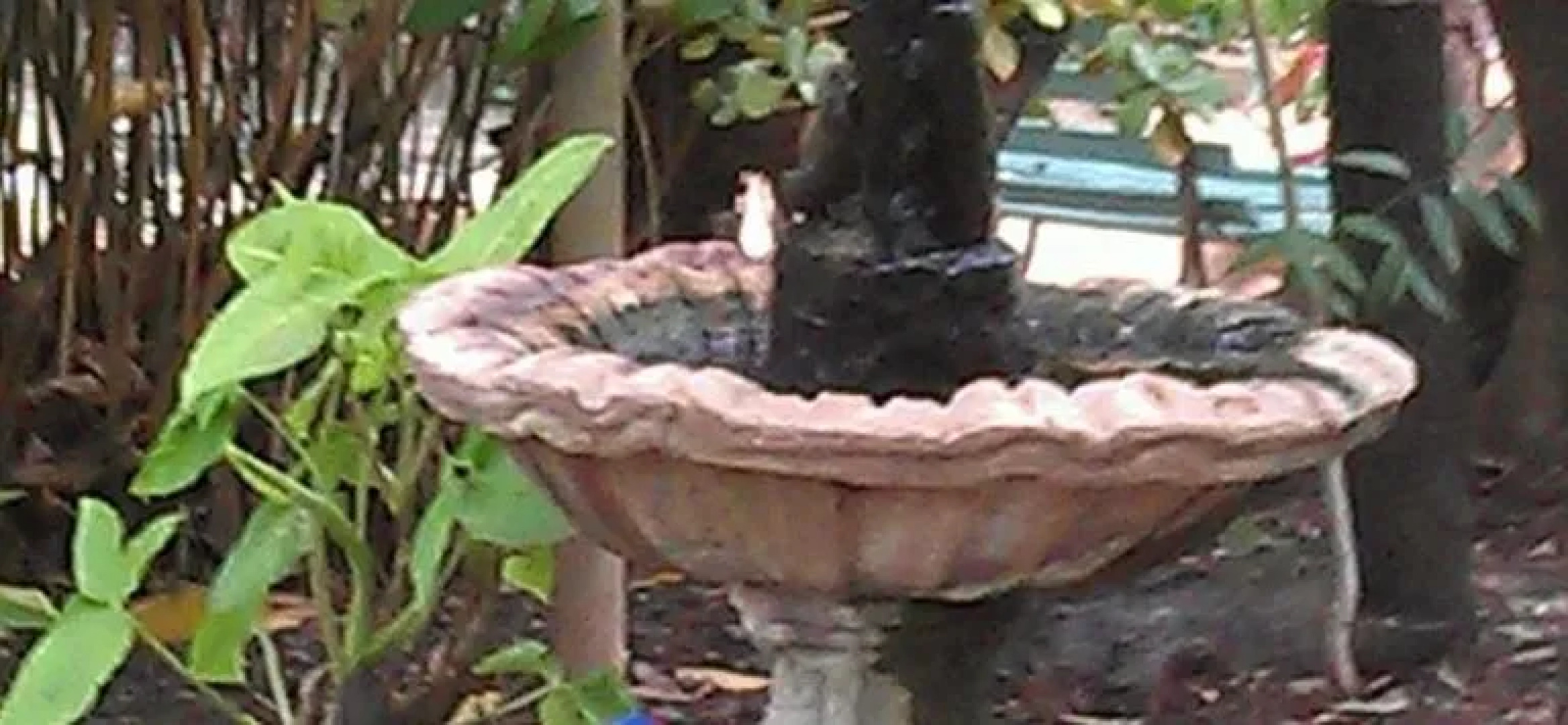 Bogie River Bush House