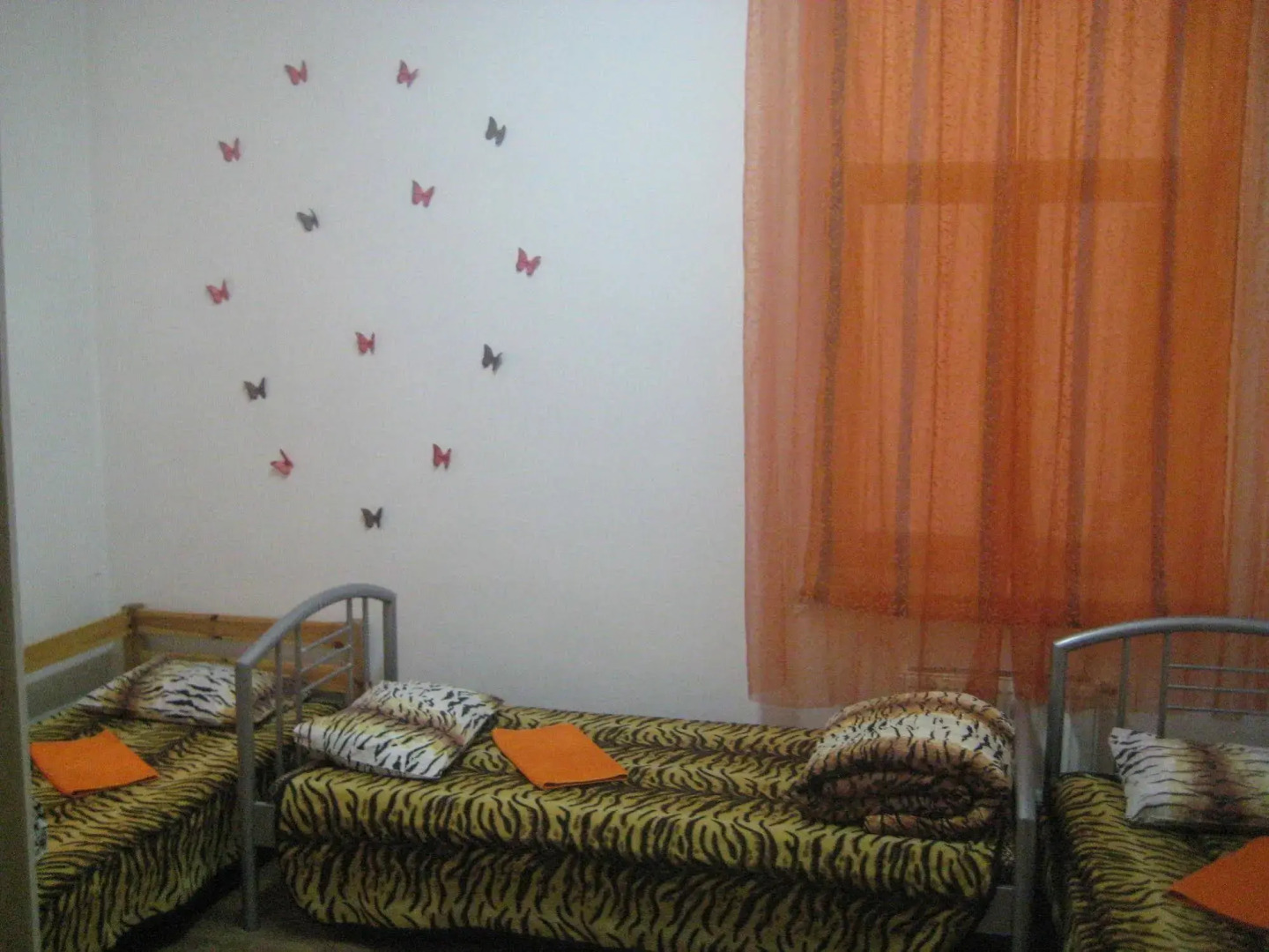 Tiger Hostel