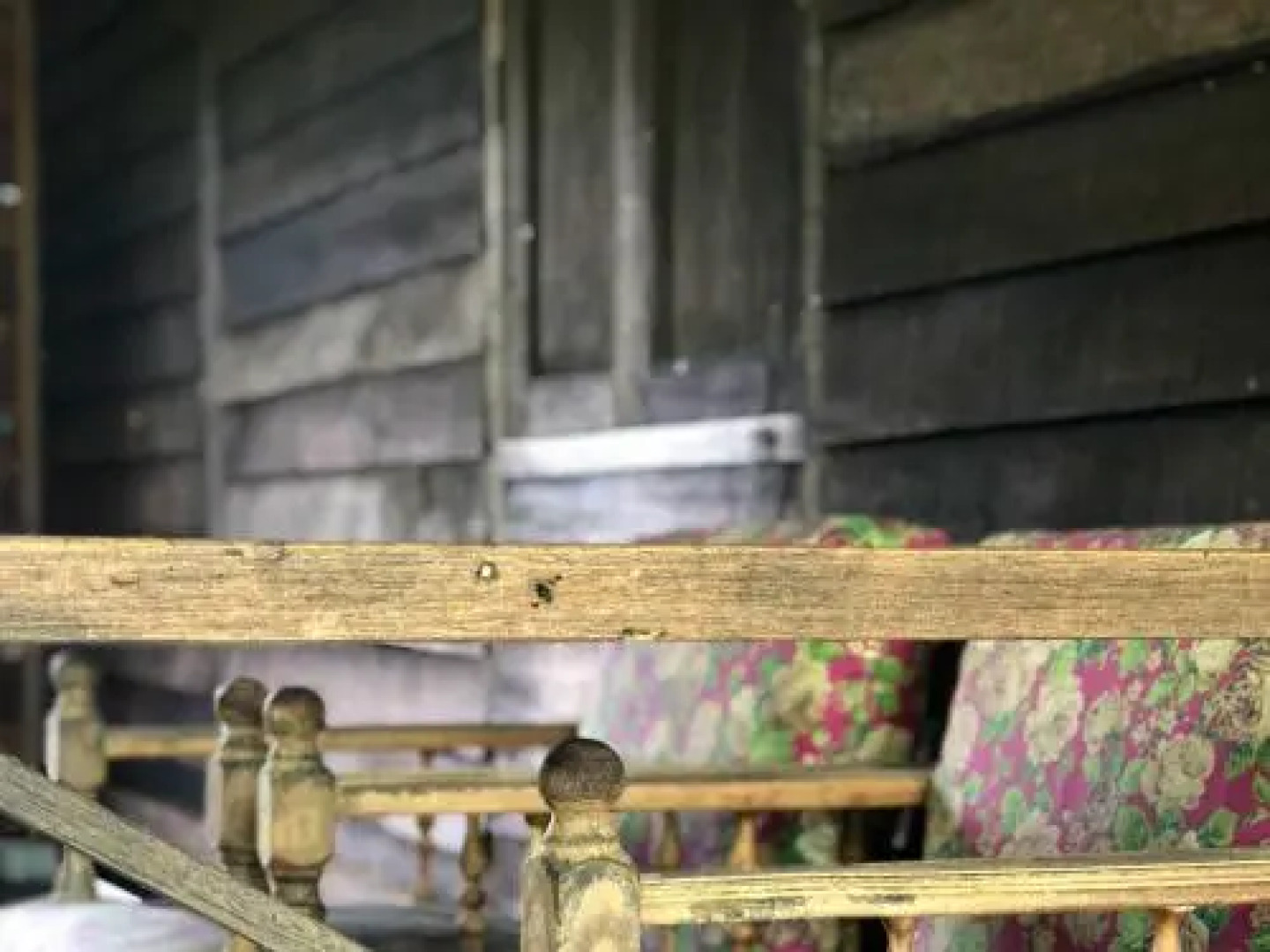 A Stroll Along Paddy Canals On A Dewy Morning