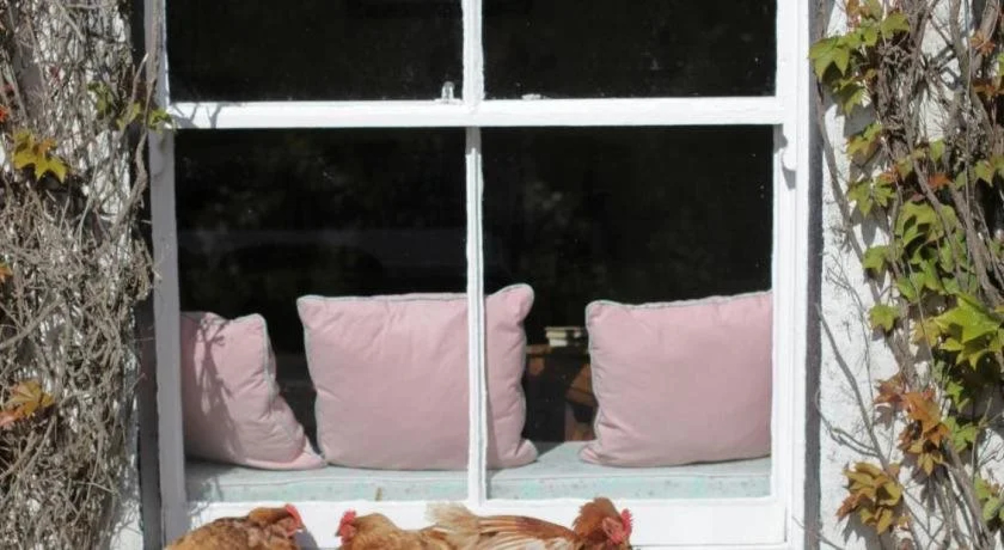 Ballyknocken House and Cookery School