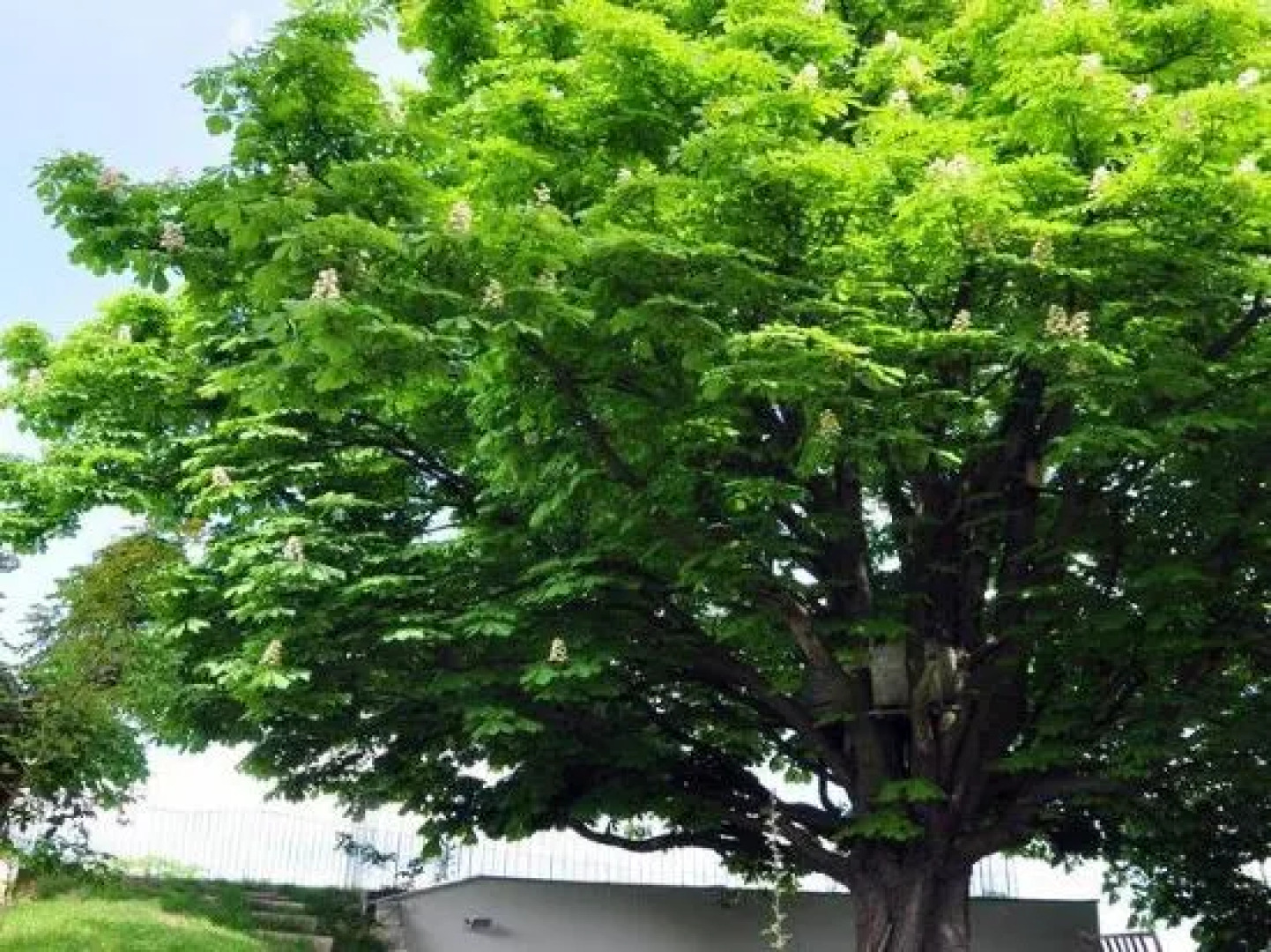 Bratislava Castle Hill Apartment