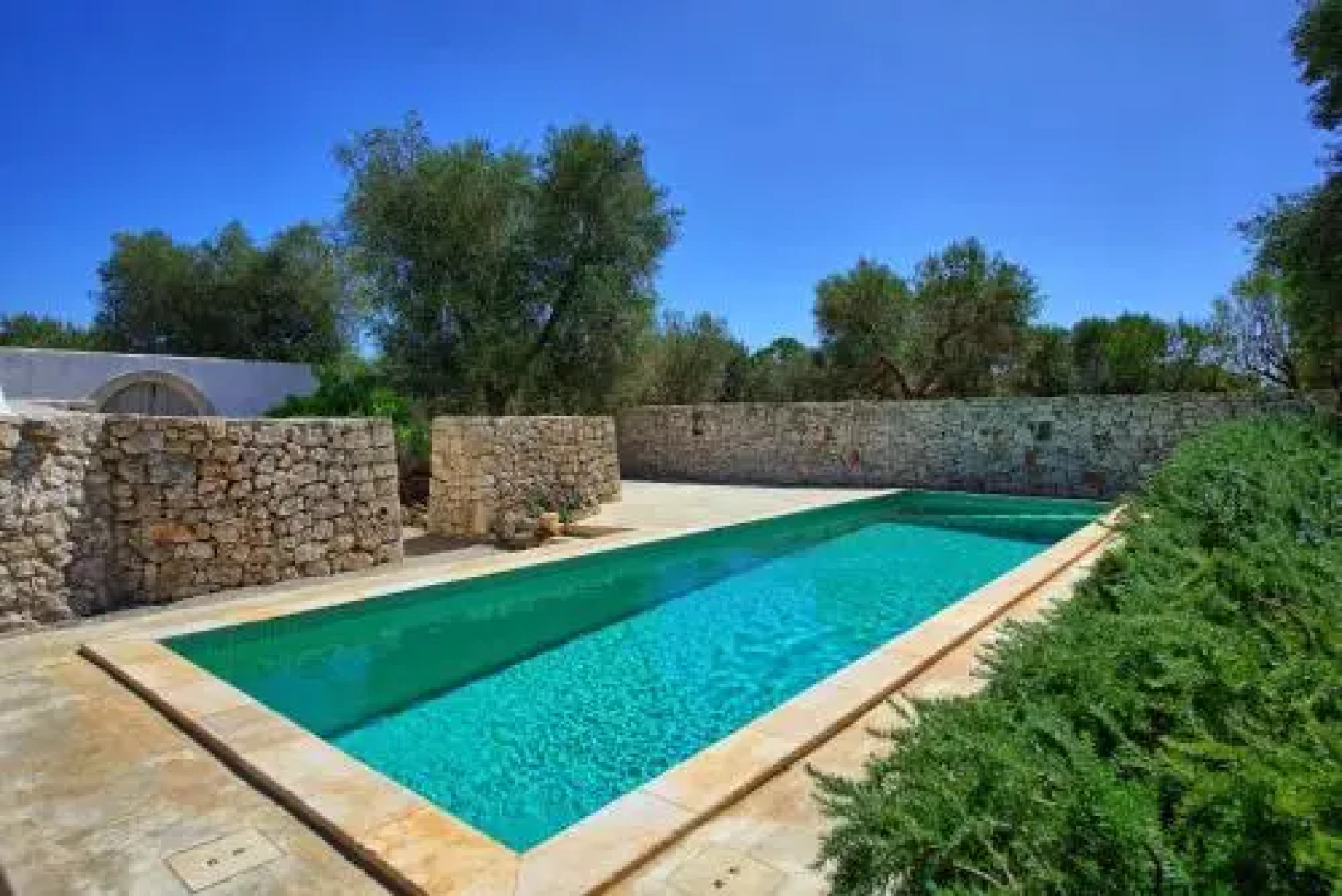 Il Trullo dell'Ulivo Bianco