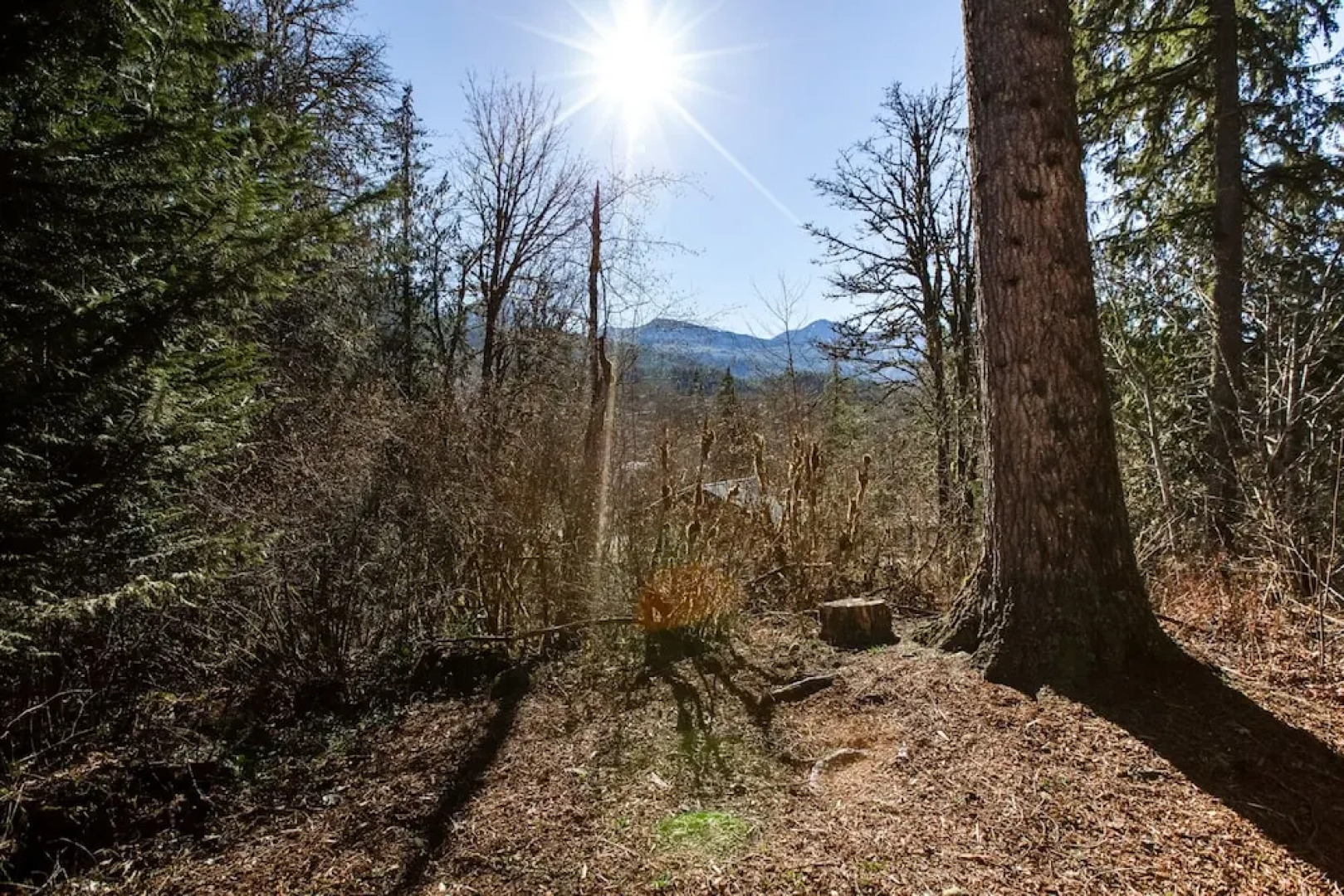 44MBR - Hot Tub- Pets Ok - WiFi - BBQ - Sleeps 6