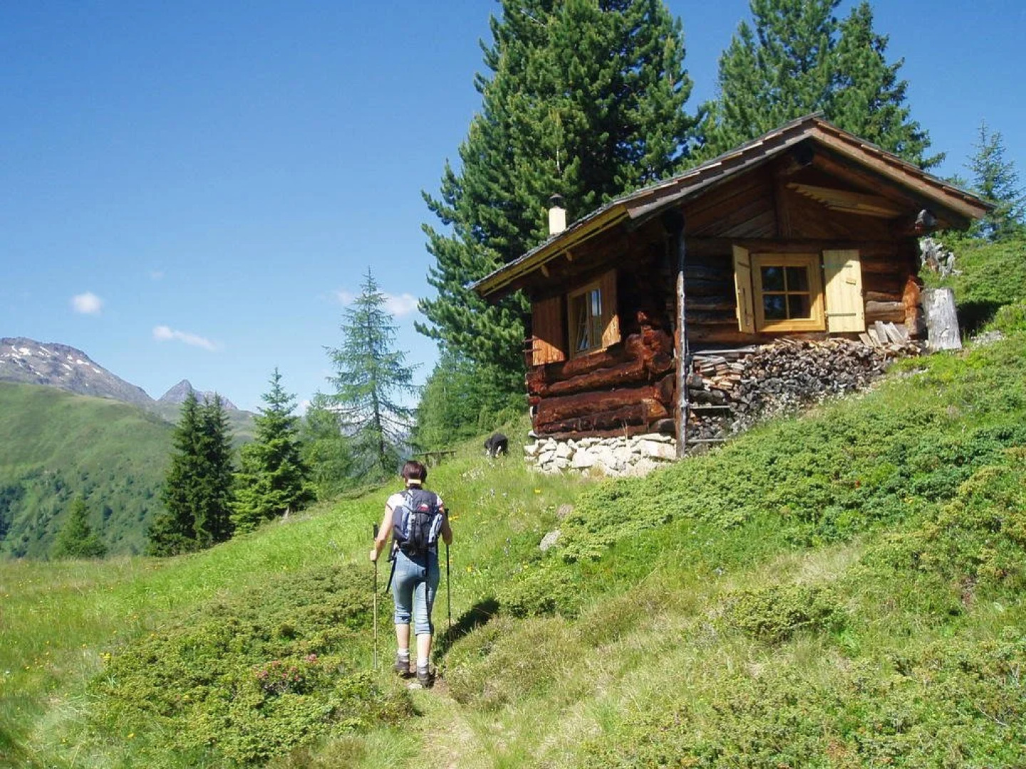 Chalet Rasnerhof