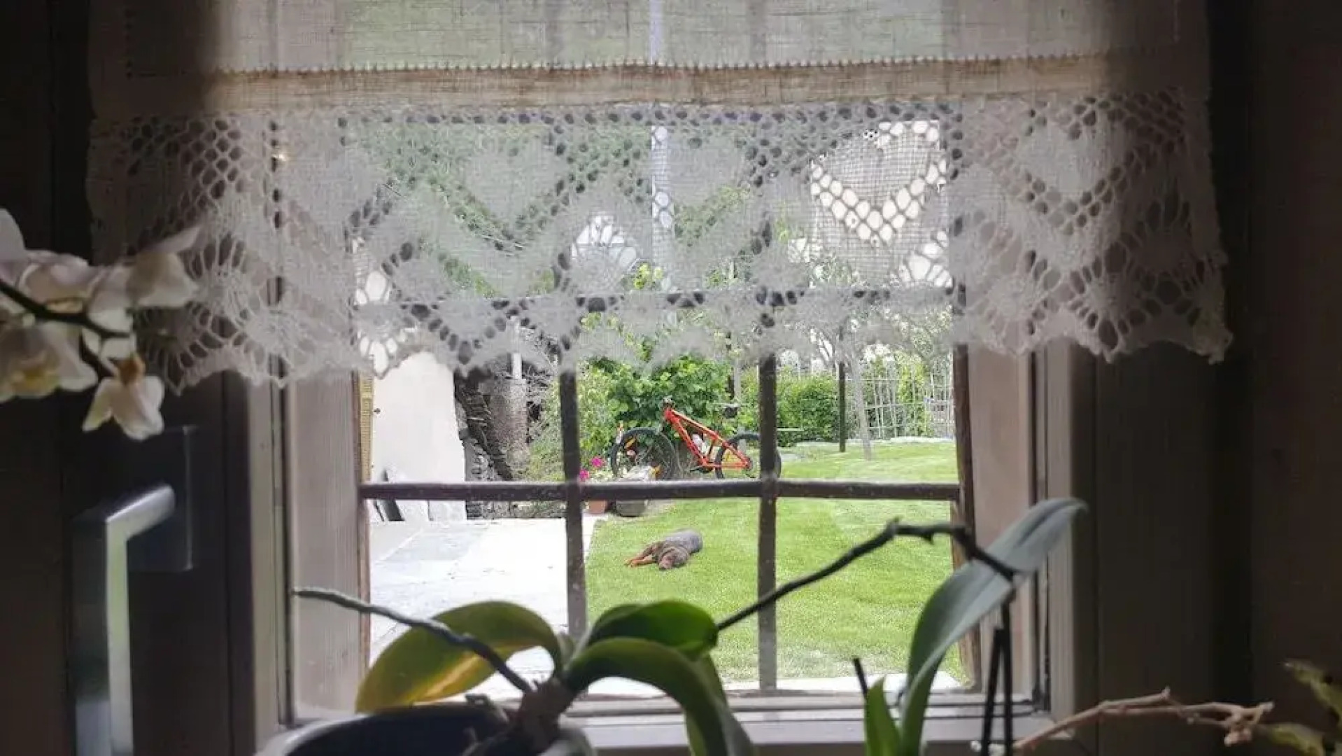 B&B L'angolino di Bonny