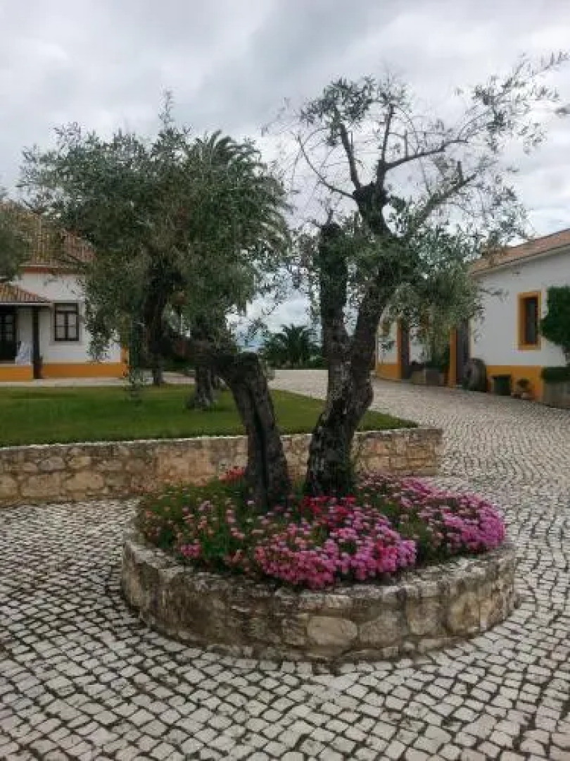 Quinta Da Mata