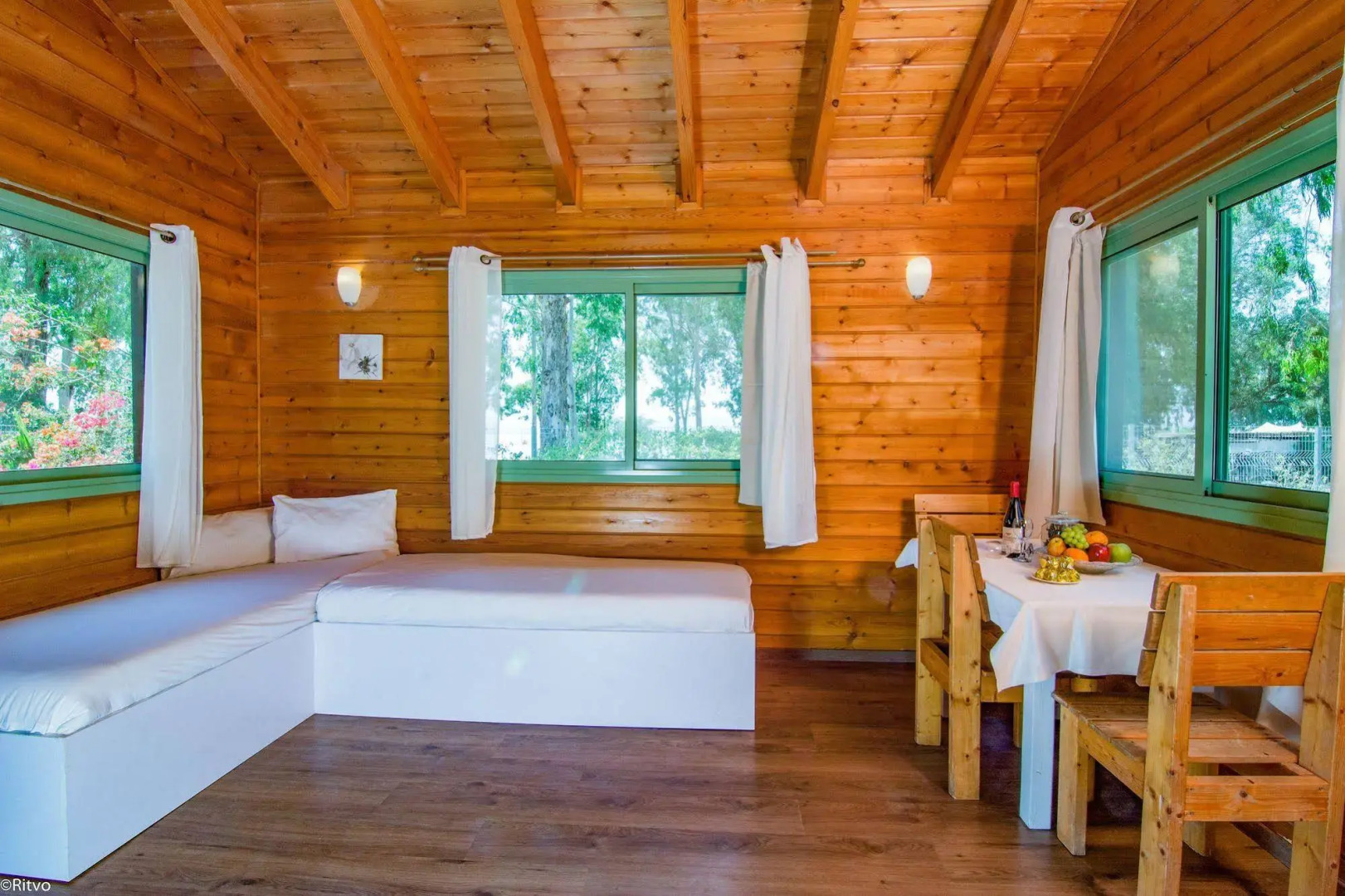 Olive in Sea of Galilee