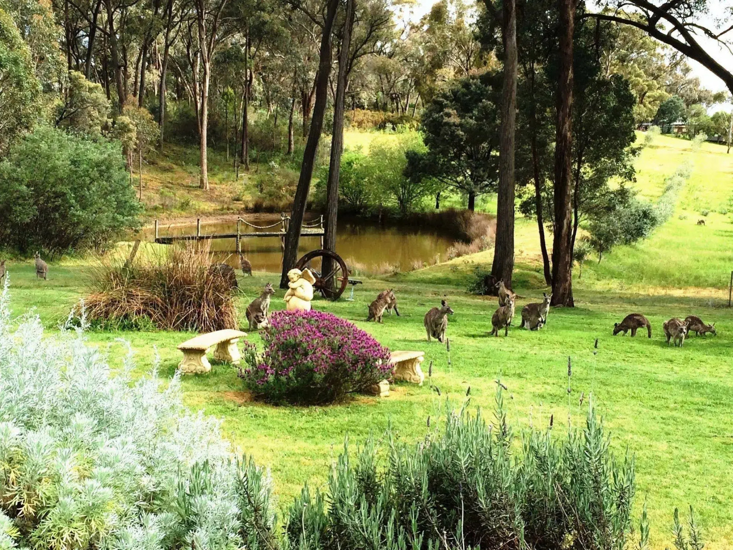 Countryside Connections Spa Cottage