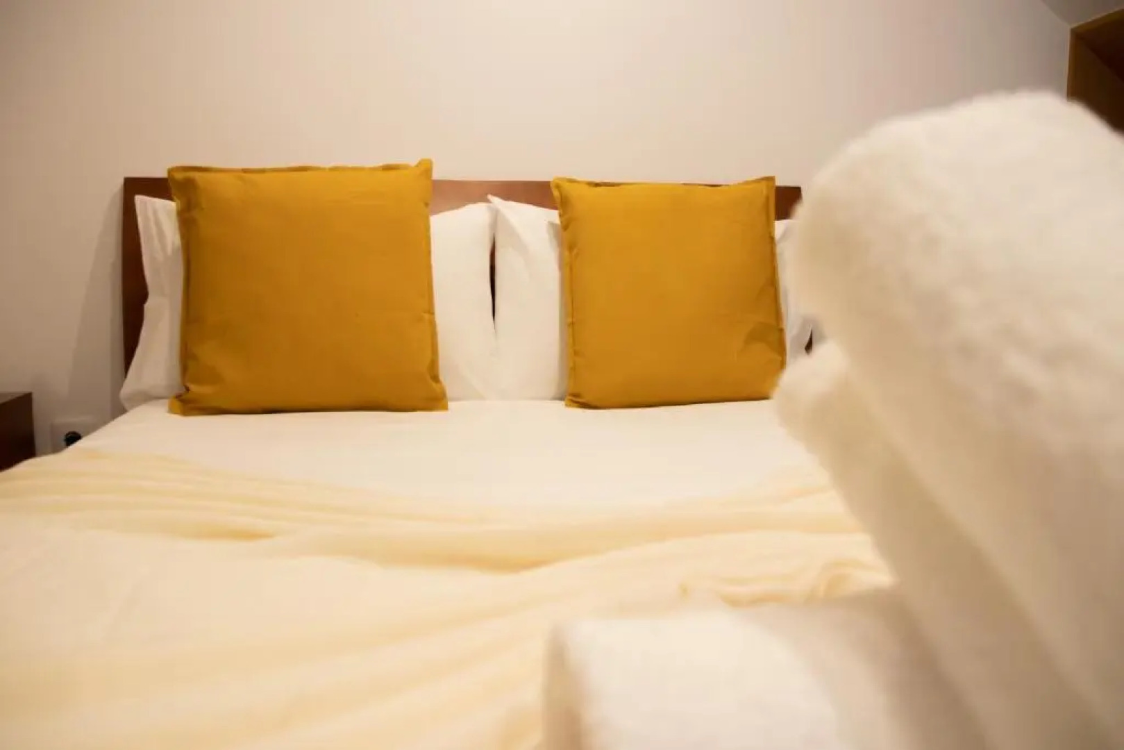 Apartamentos Avenida Premium