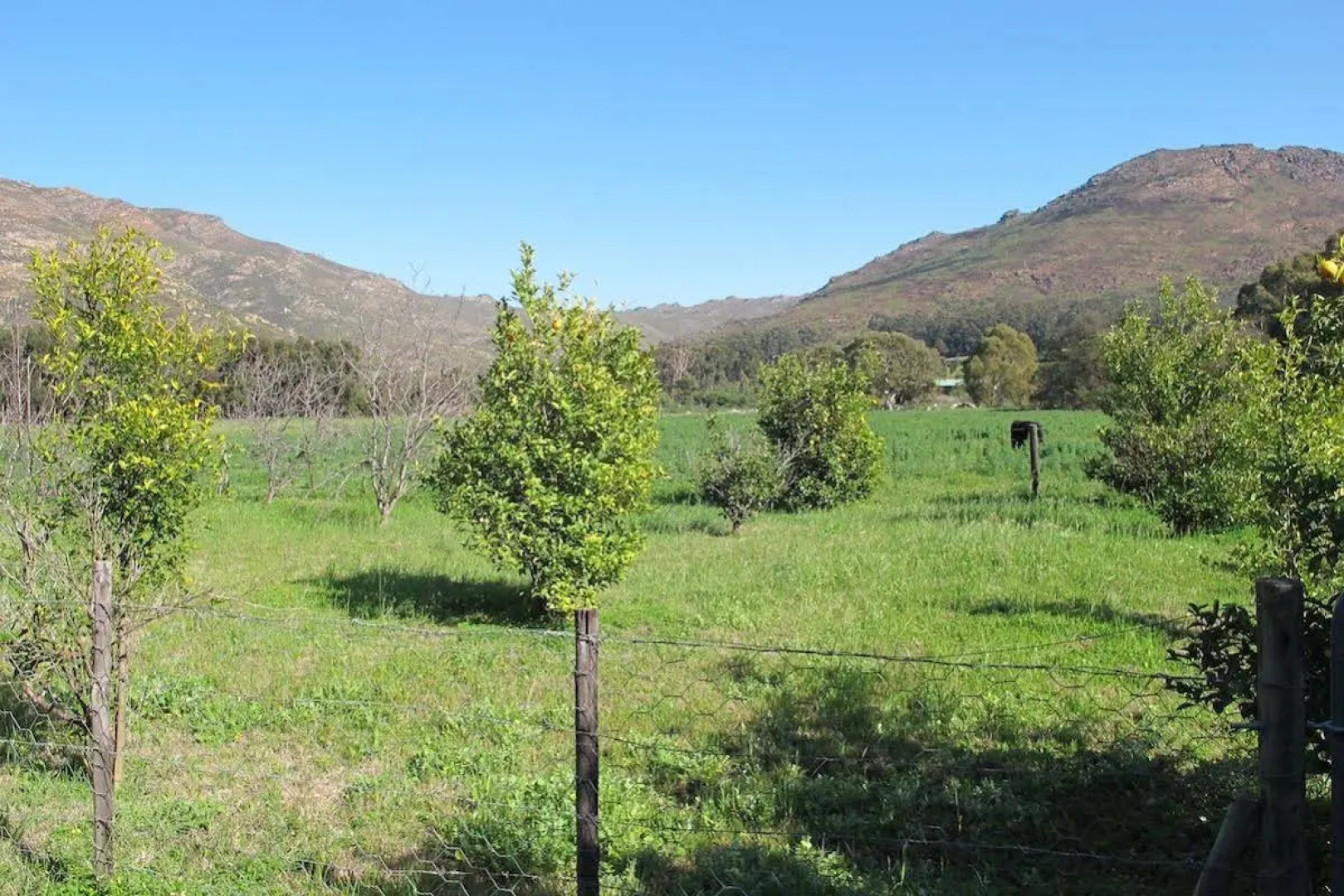 Essere Lodge Guest House