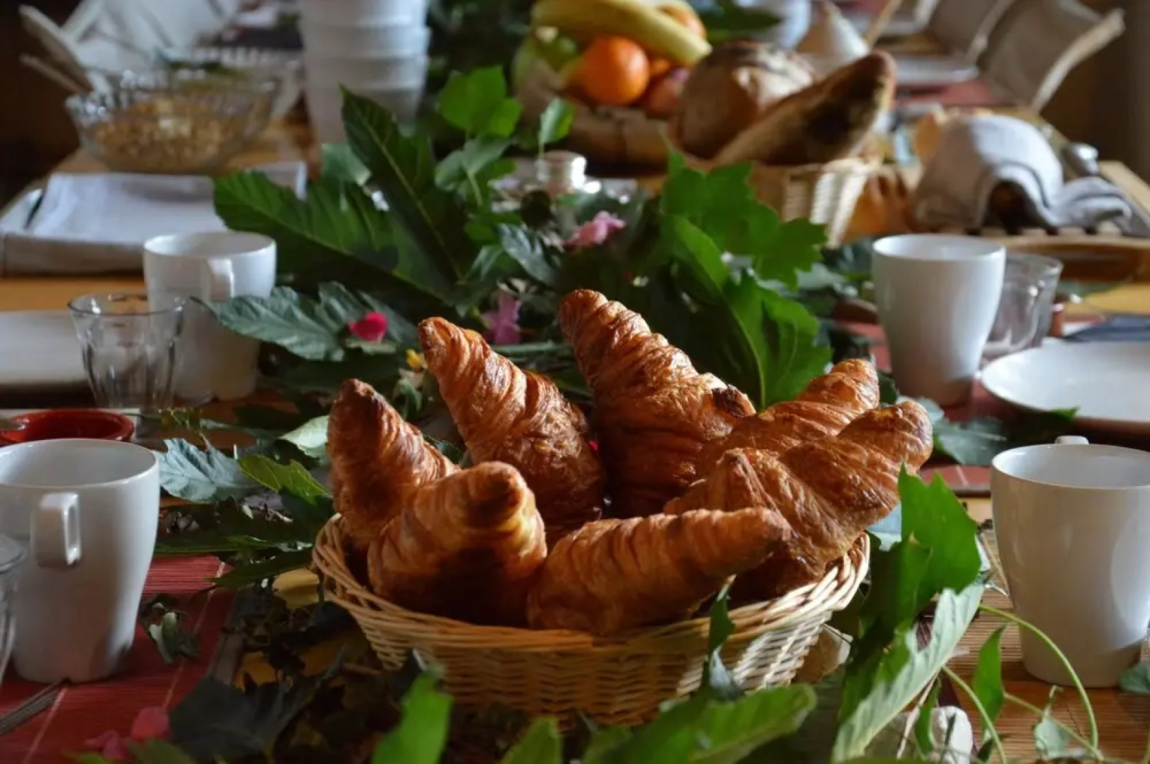 Gite Le Vieux Platane