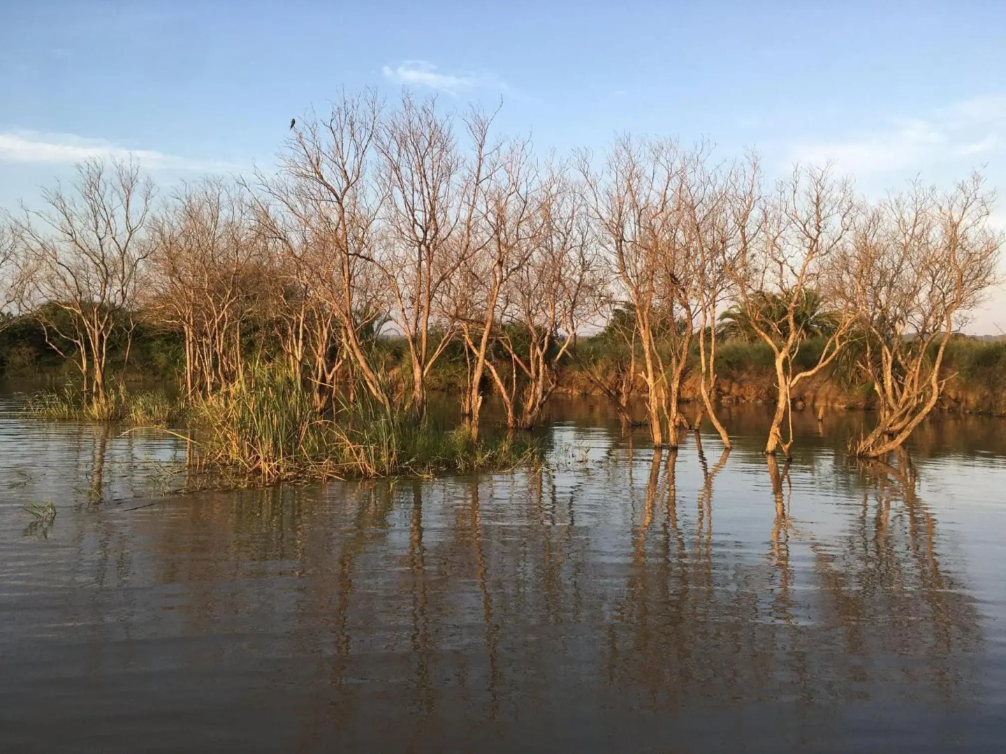 The Bridge 19 - Self Catering