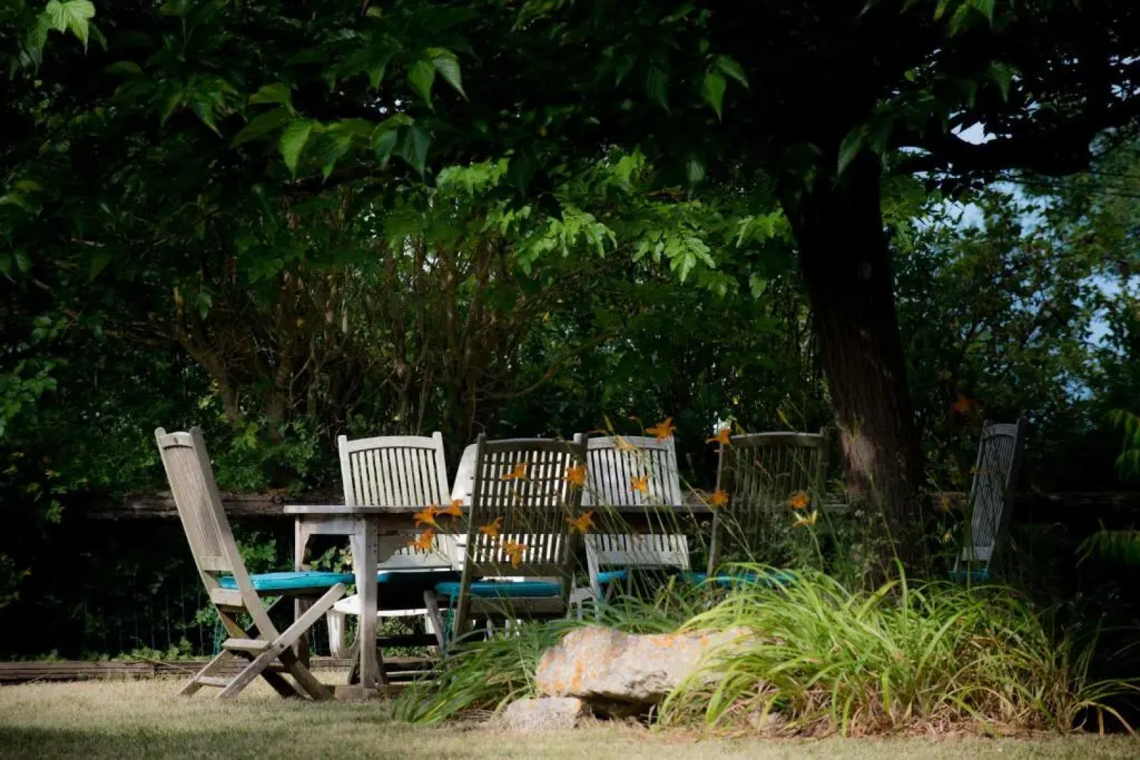 Nature's Pace Holidays