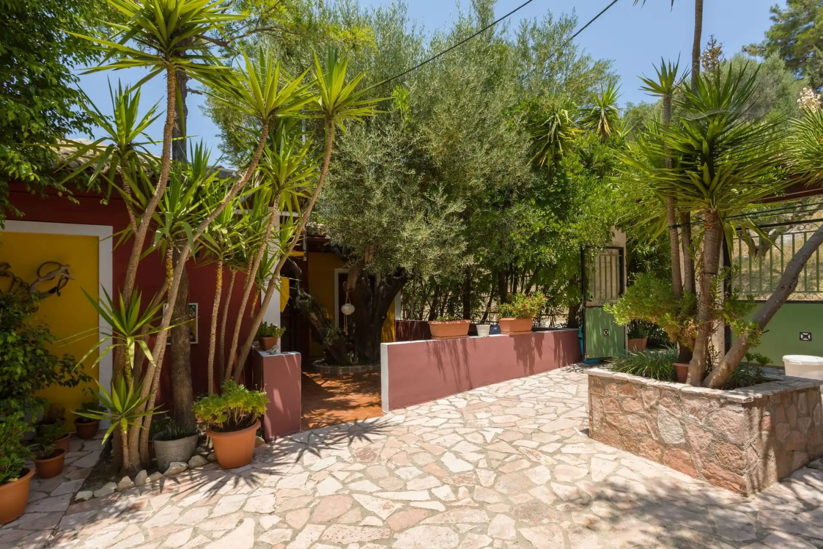 Garden of Eden Zante