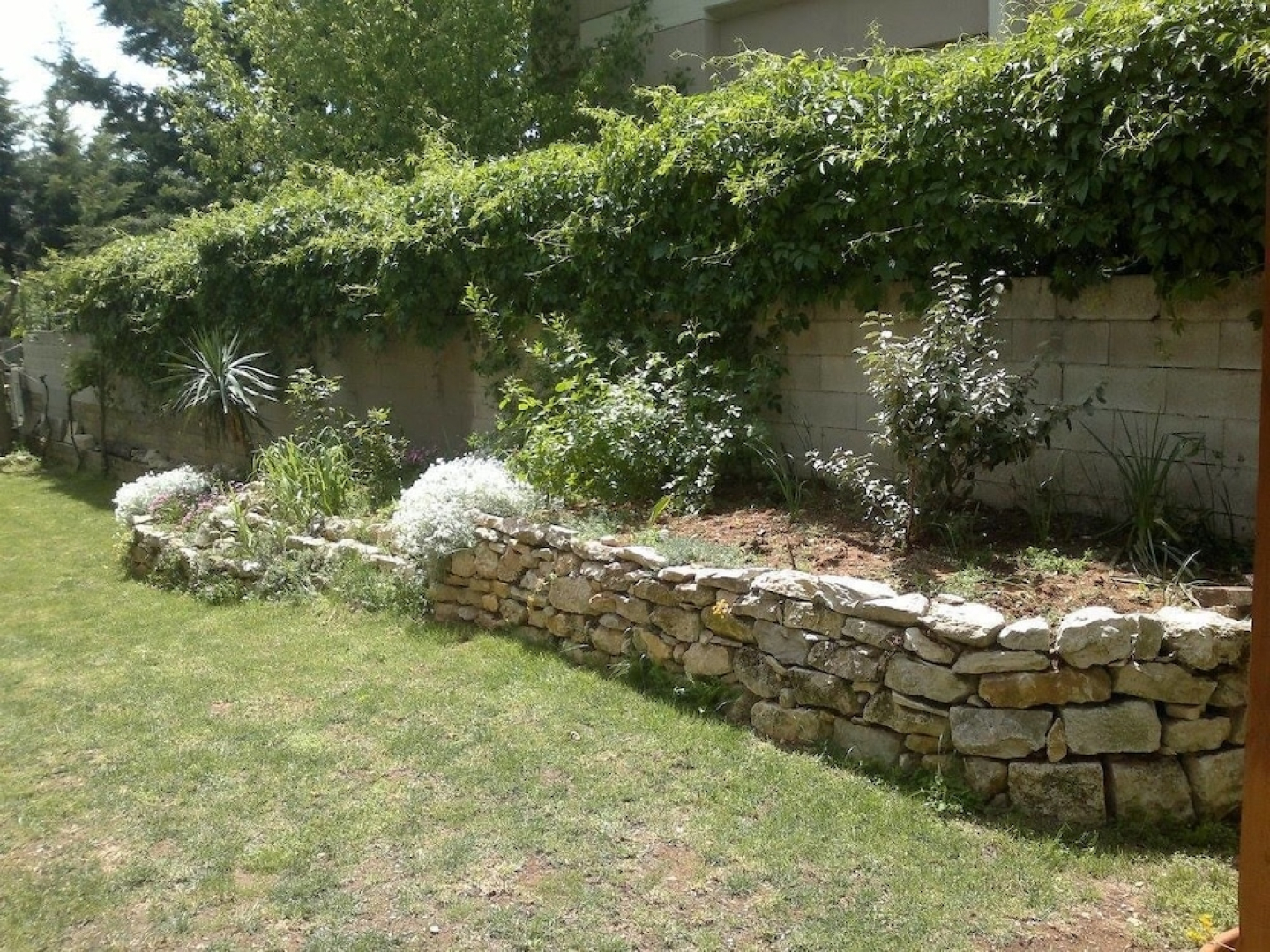 Il Mandorlo Rooms & Garden