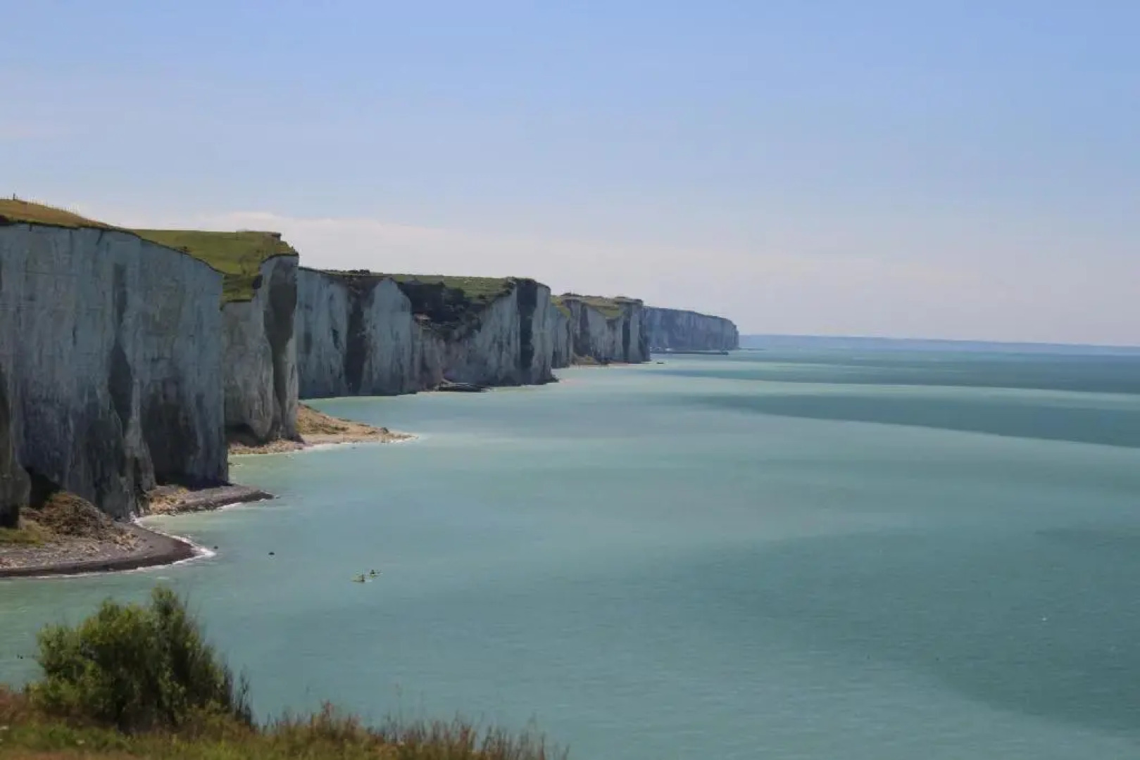 Le chant des oiseaux