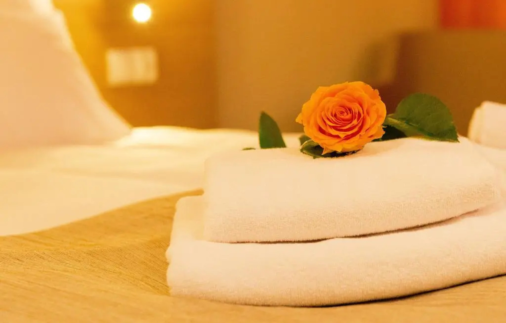 Hotel Amazonka Conference & SPA