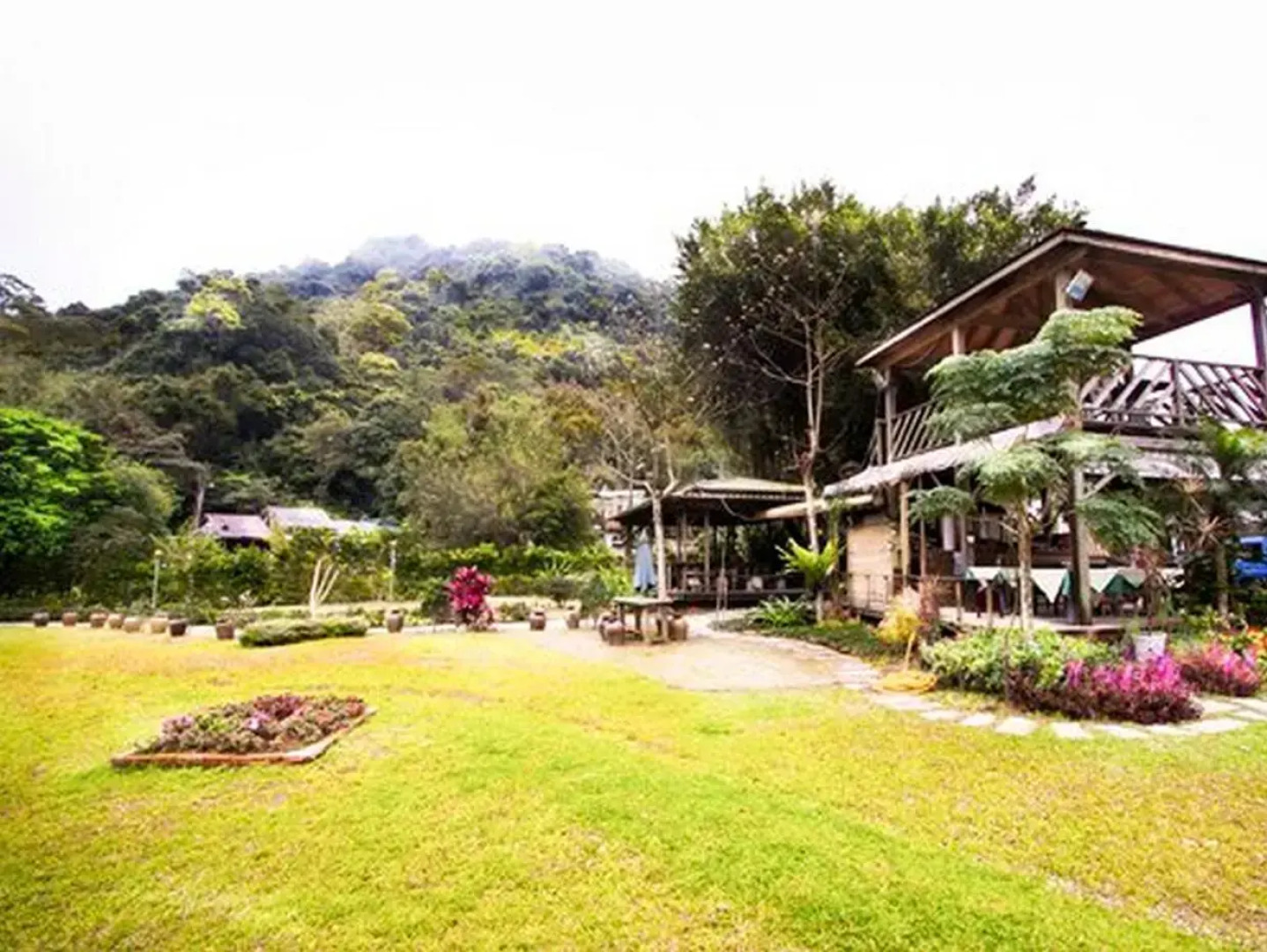 Taiwan Reishi Expert Bed and Breakfast