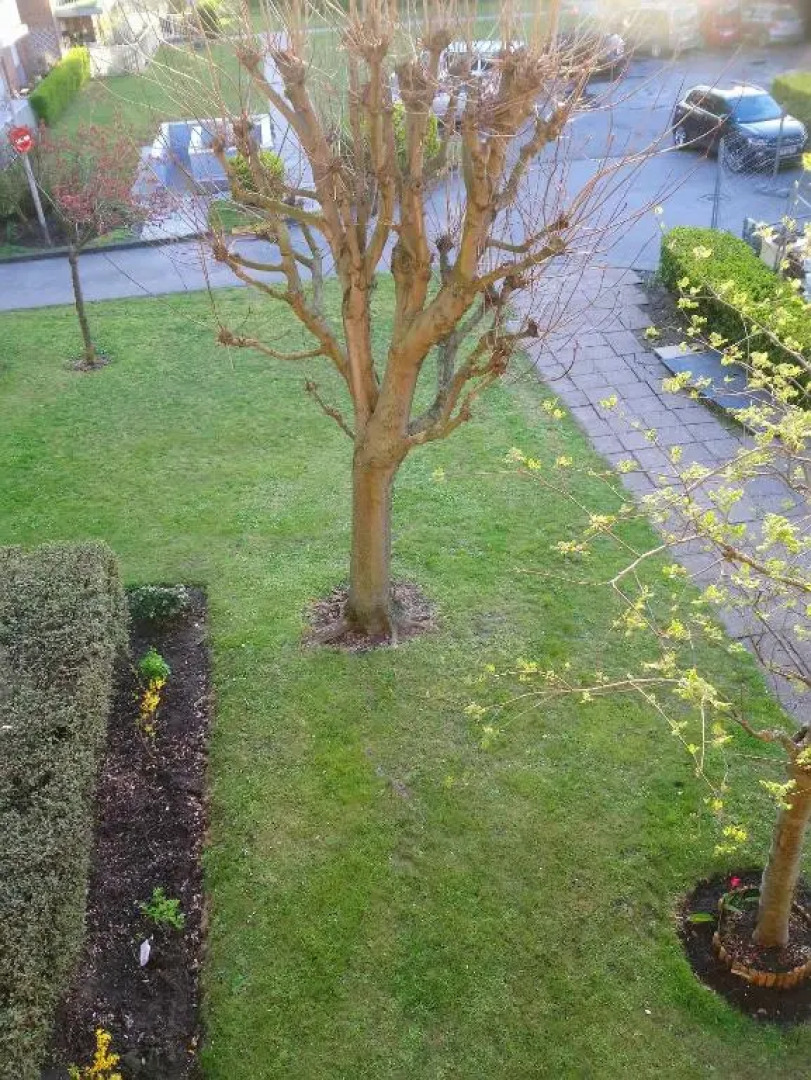 Opaline T3 Lumineux Avec Patio Et Parking Prive