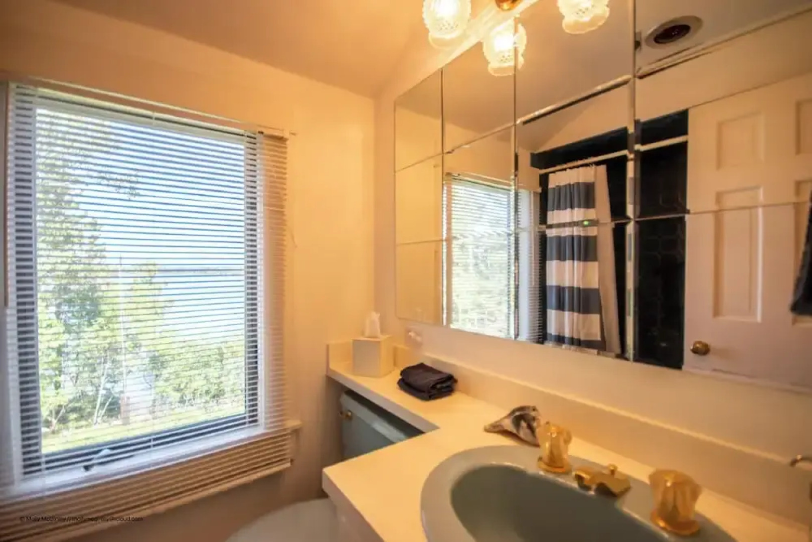 Puffin Rock - New 2022!