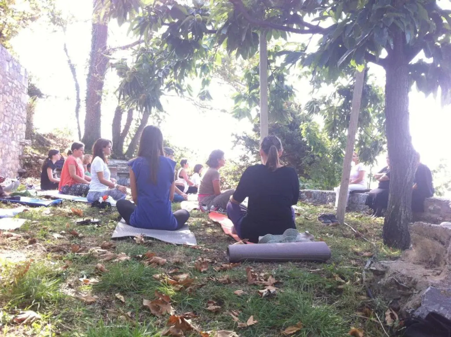 Rigas Pinakoti Lodge