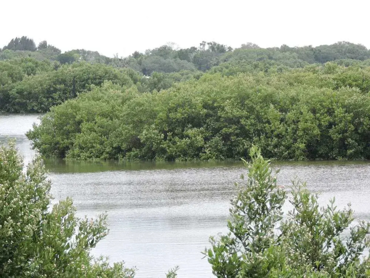 Natures Landing Condominiums