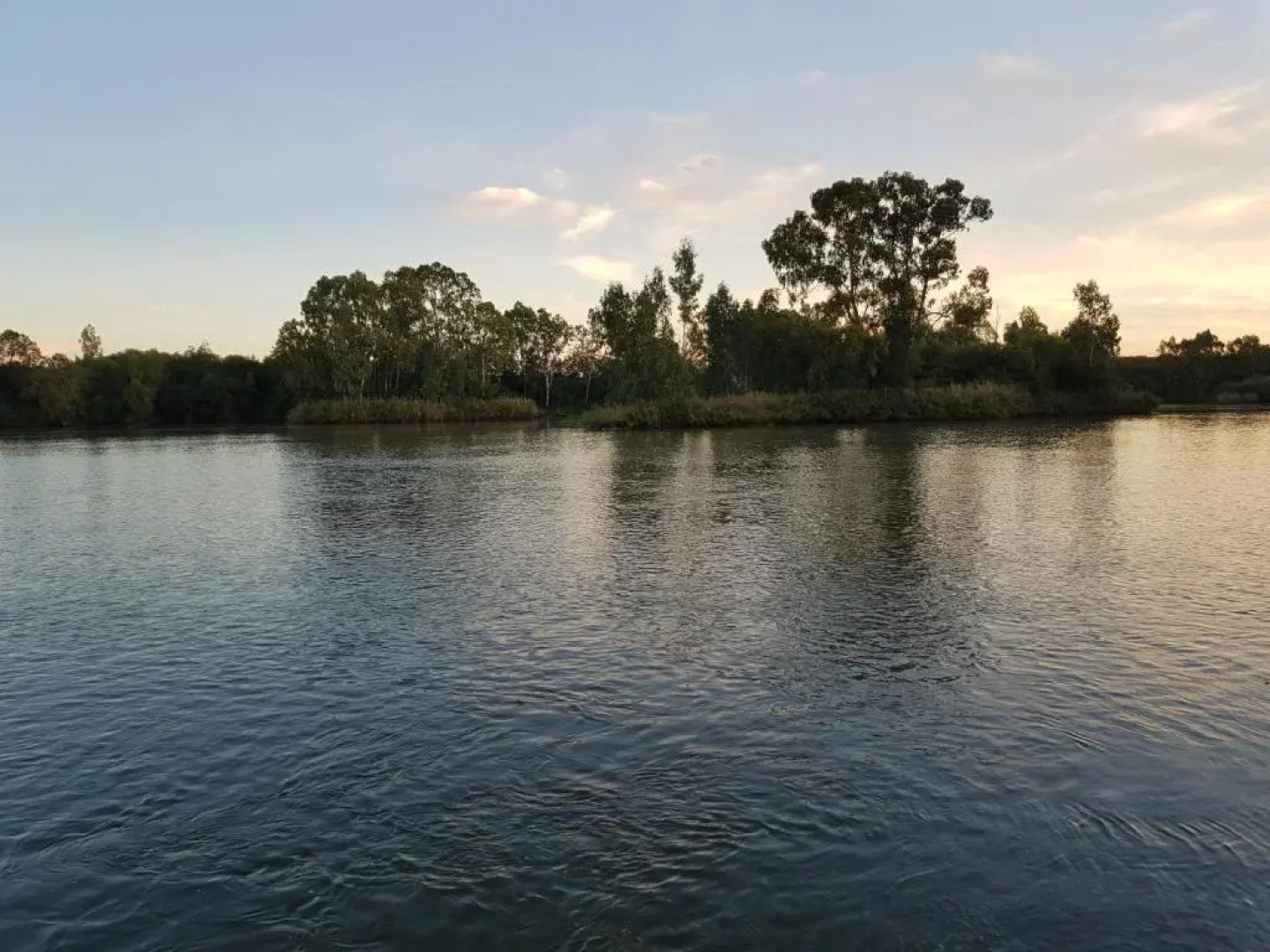 Mountain View Country Estate