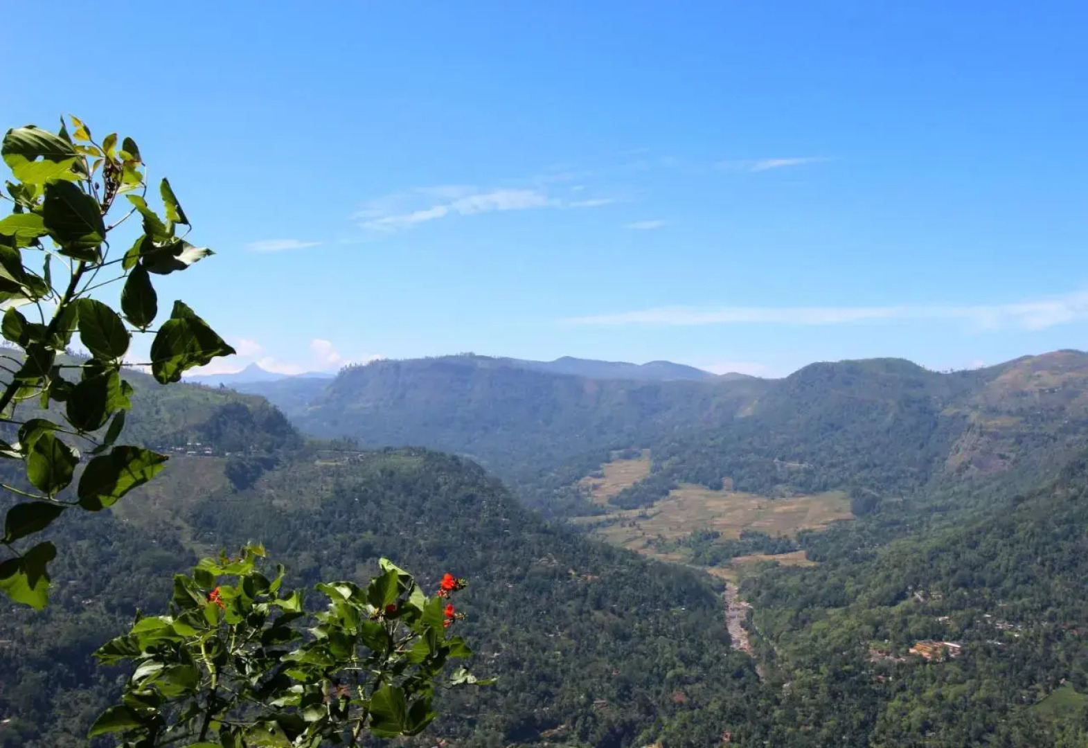 Singha Sanasa Luxury Homestay