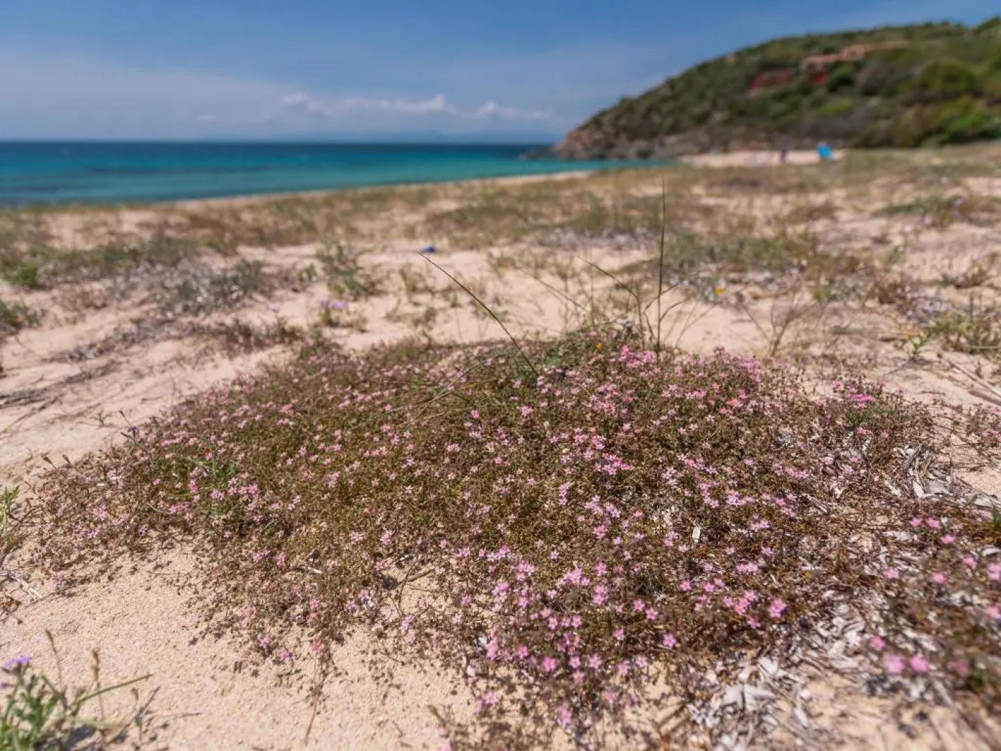 Sardinia SPA Apartment