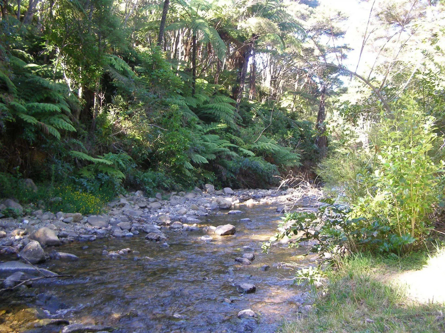 Tangiaro Kiwi Retreat